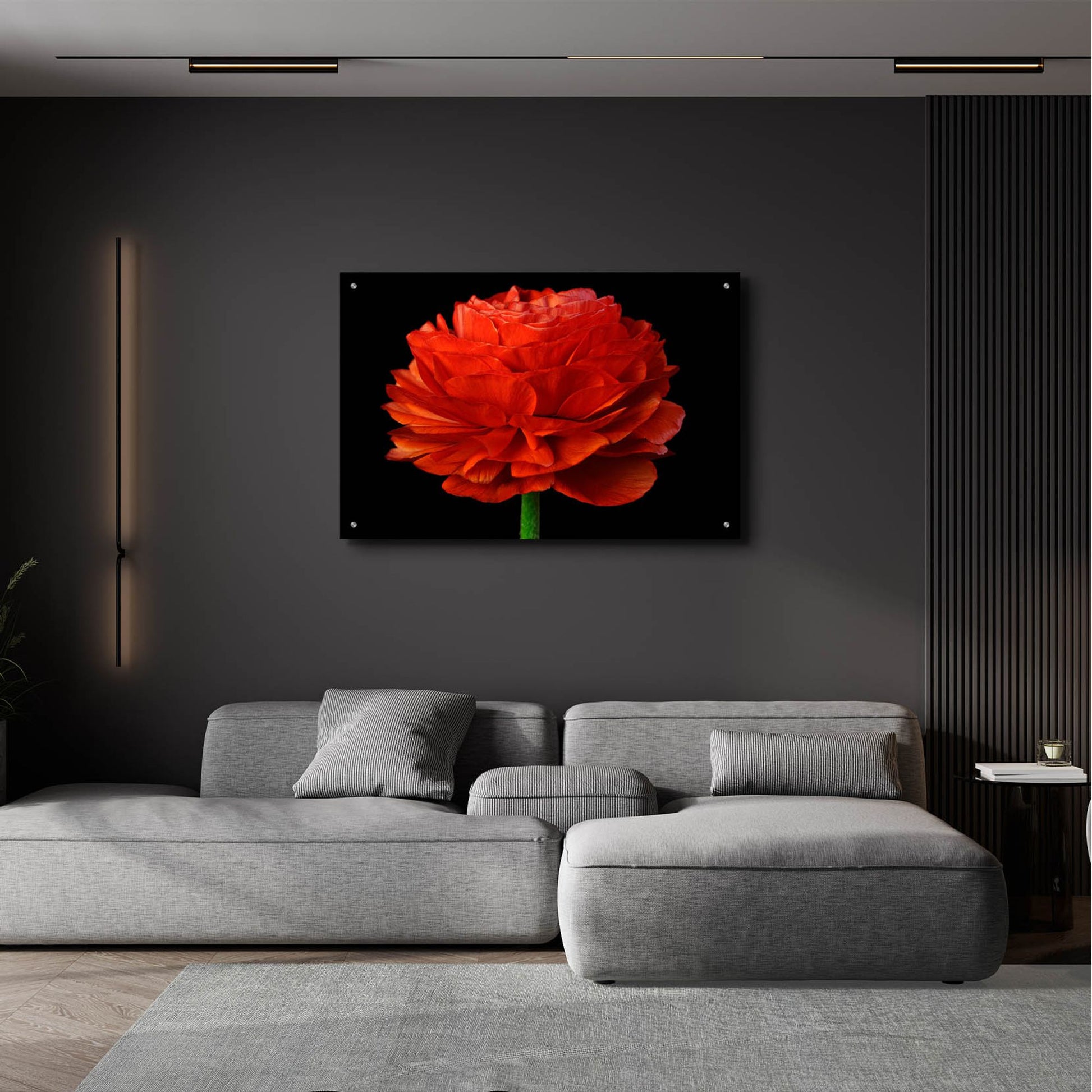 Epic Art 'Red Flower on Black 04' by Tom Quartermaine, Acrylic Glass Wall Art,36x24