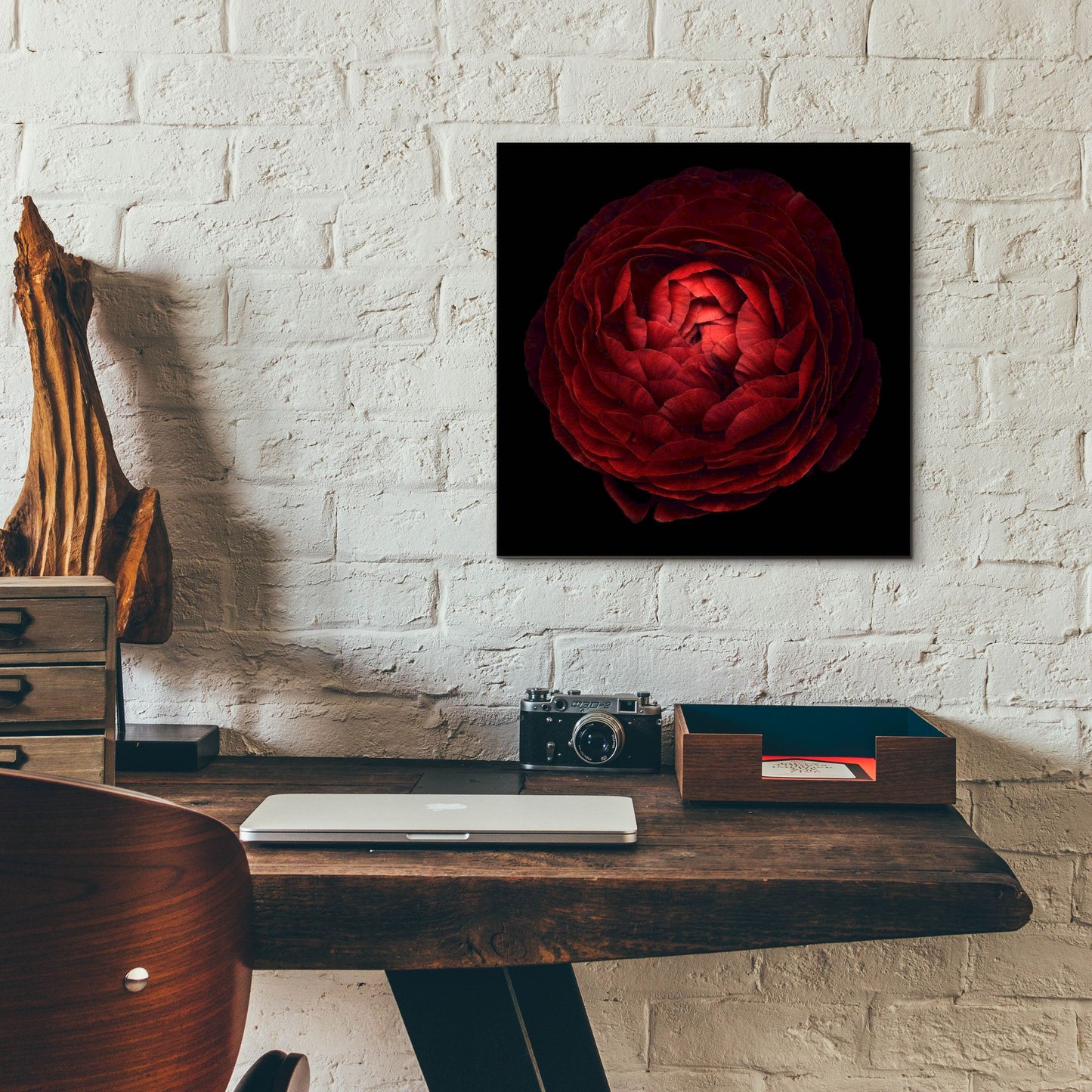 Epic Art 'Red Flower on Black 05' by Tom Quartermaine, Acrylic Glass Wall Art,12x12