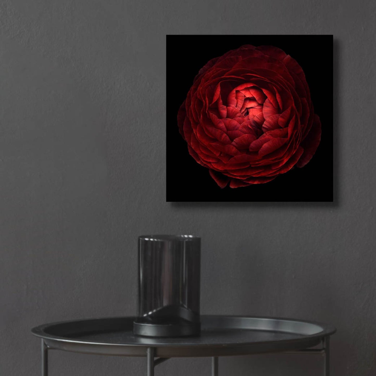 Epic Art 'Red Flower on Black 05' by Tom Quartermaine, Acrylic Glass Wall Art,12x12