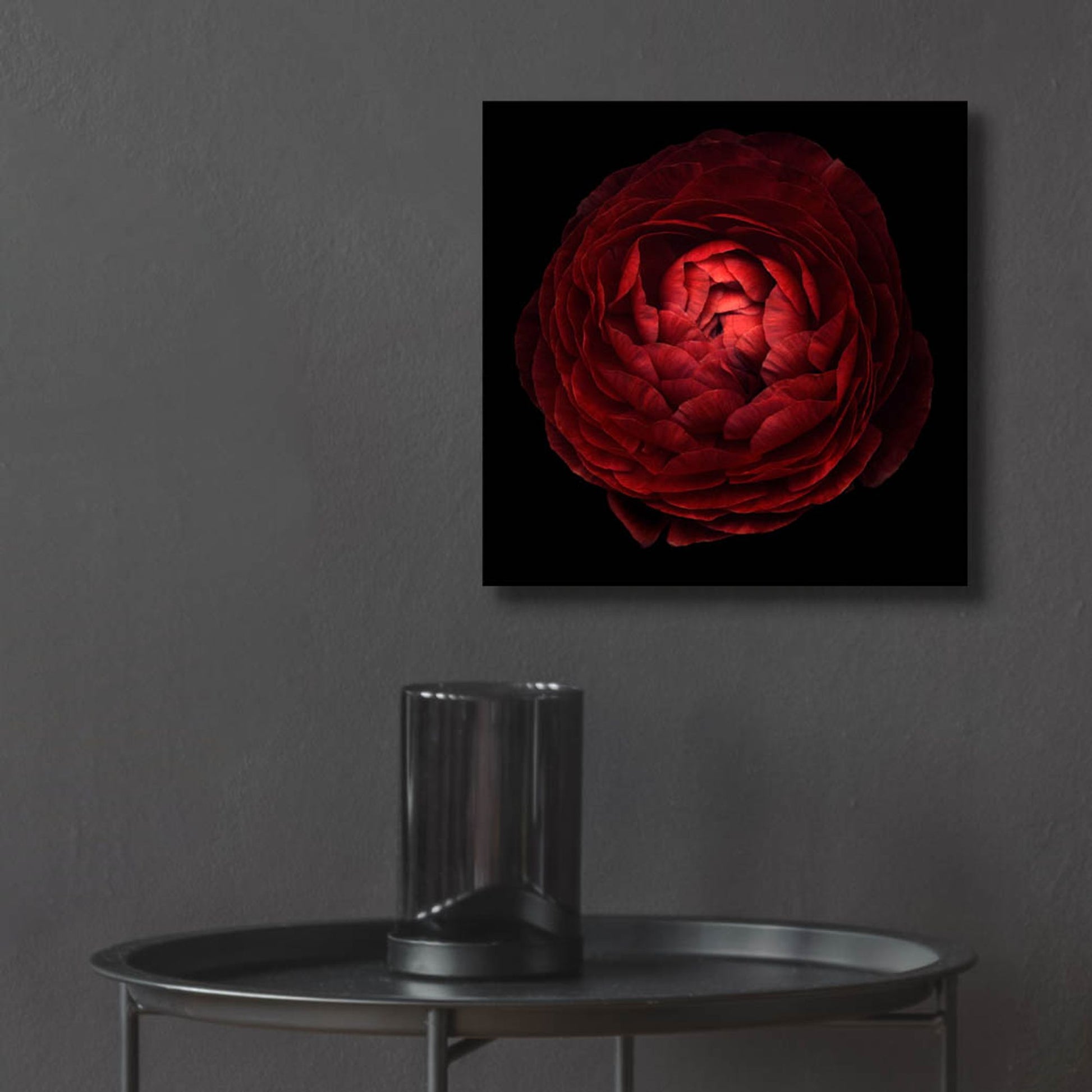 Epic Art 'Red Flower on Black 05' by Tom Quartermaine, Acrylic Glass Wall Art,12x12