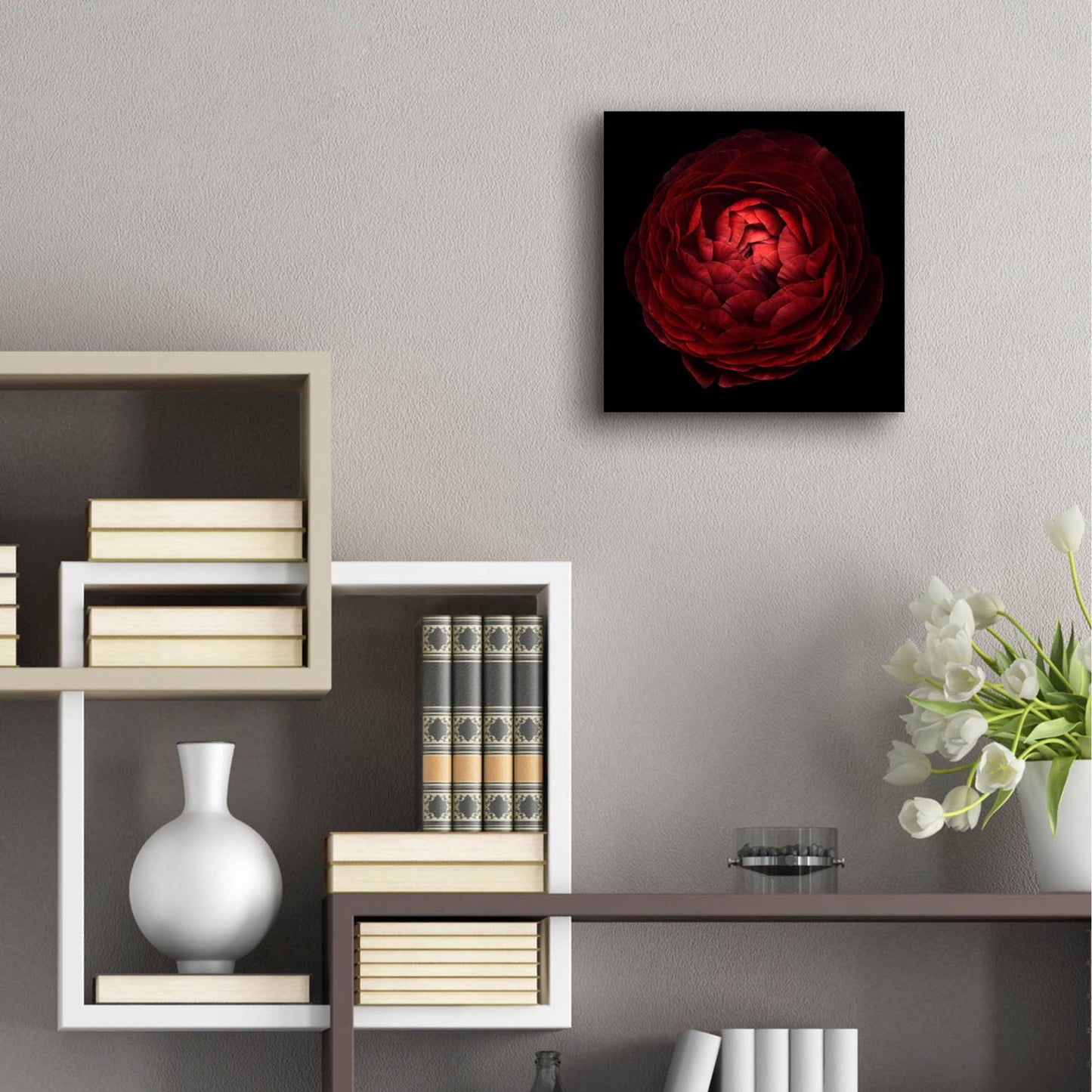 Epic Art 'Red Flower on Black 05' by Tom Quartermaine, Acrylic Glass Wall Art,12x12