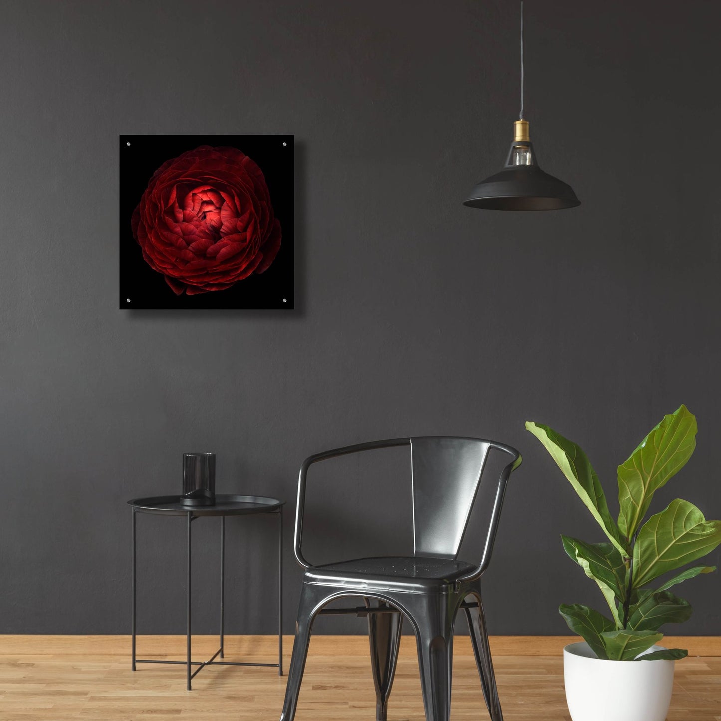 Epic Art 'Red Flower on Black 05' by Tom Quartermaine, Acrylic Glass Wall Art,24x24