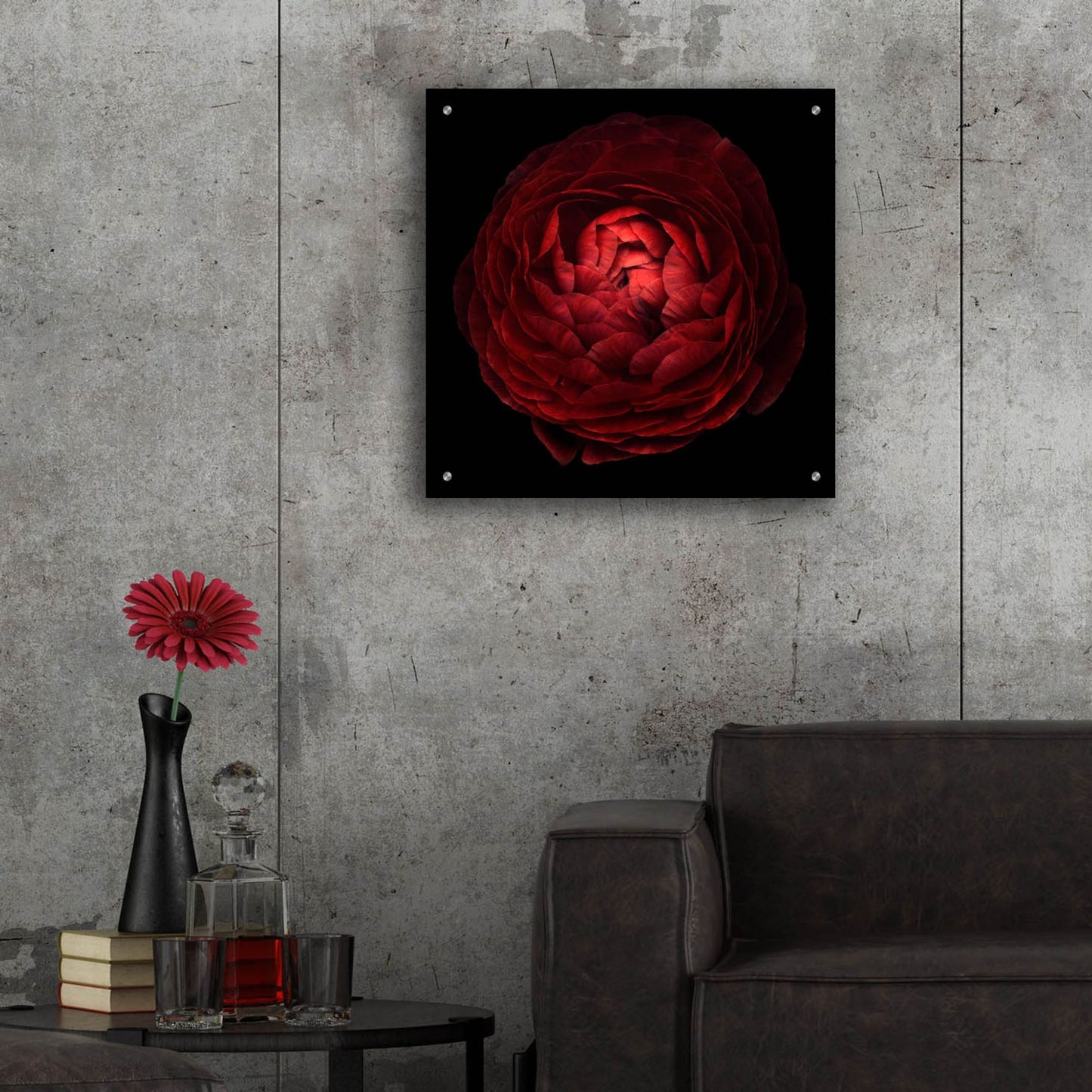 Epic Art 'Red Flower on Black 05' by Tom Quartermaine, Acrylic Glass Wall Art,24x24