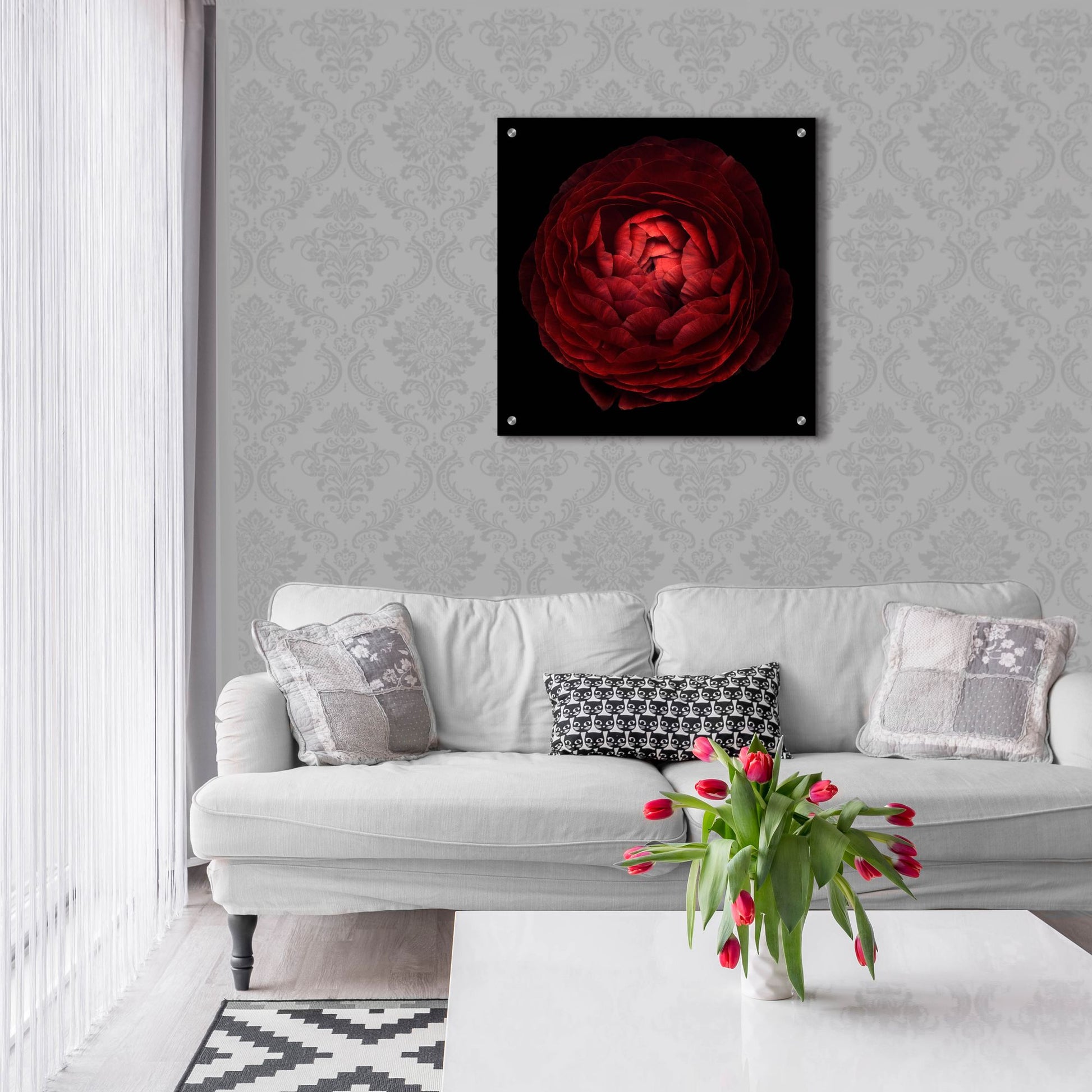 Epic Art 'Red Flower on Black 05' by Tom Quartermaine, Acrylic Glass Wall Art,24x24