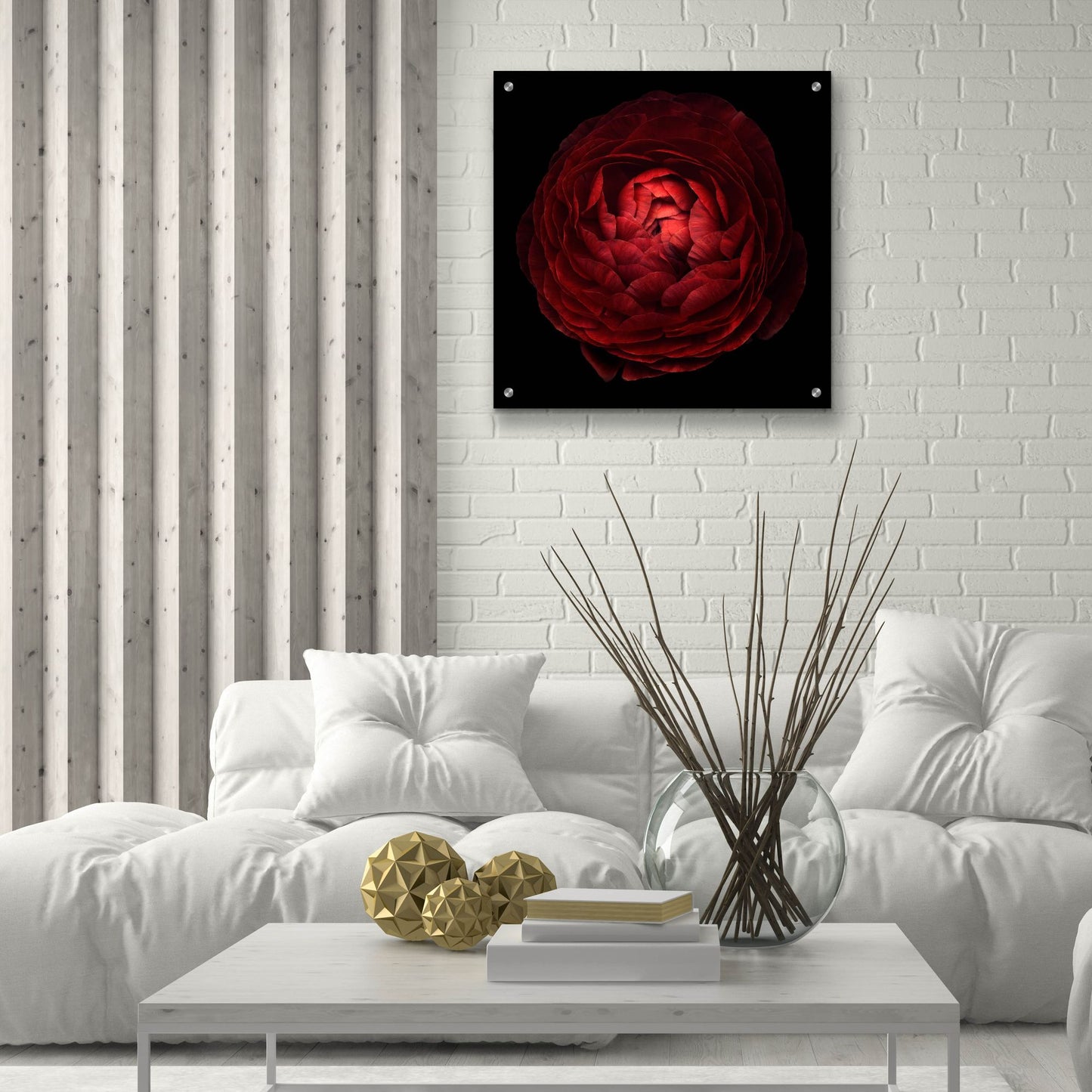 Epic Art 'Red Flower on Black 05' by Tom Quartermaine, Acrylic Glass Wall Art,24x24