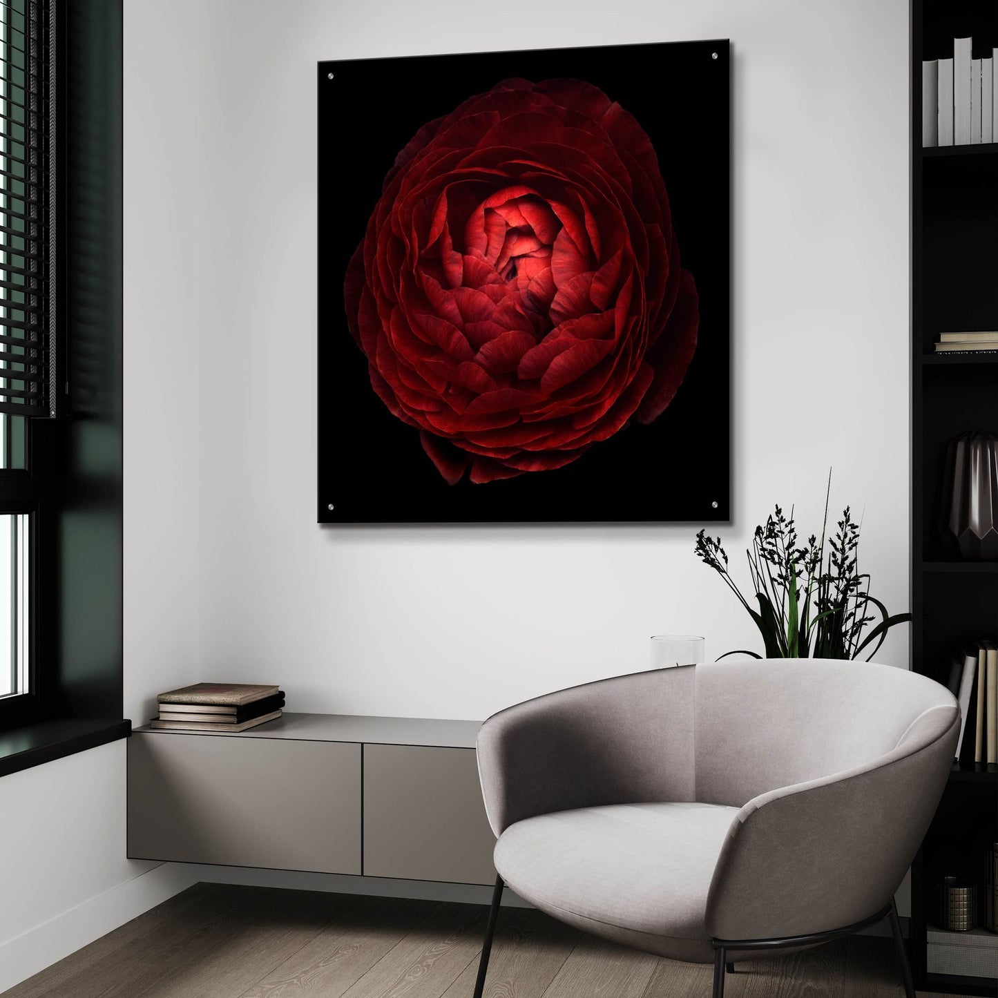 Epic Art 'Red Flower on Black 05' by Tom Quartermaine, Acrylic Glass Wall Art,36x36