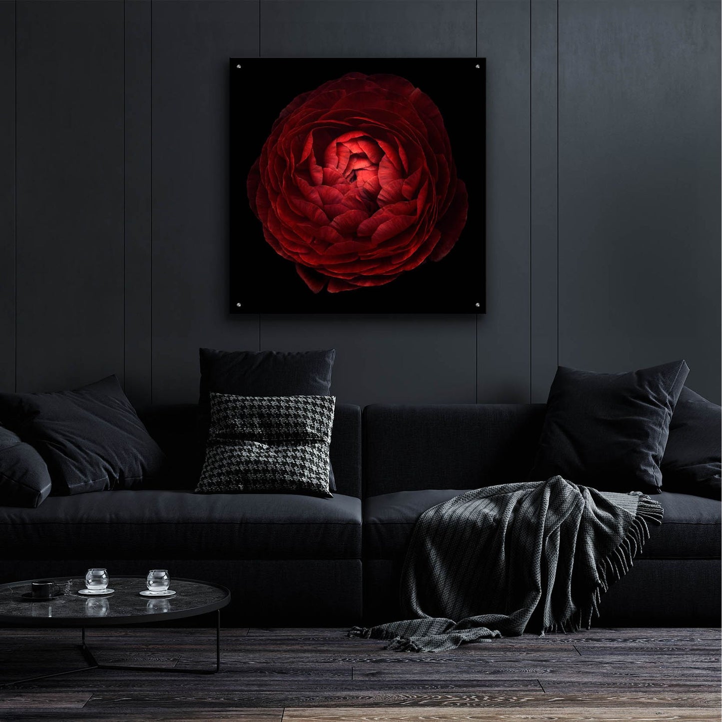 Epic Art 'Red Flower on Black 05' by Tom Quartermaine, Acrylic Glass Wall Art,36x36