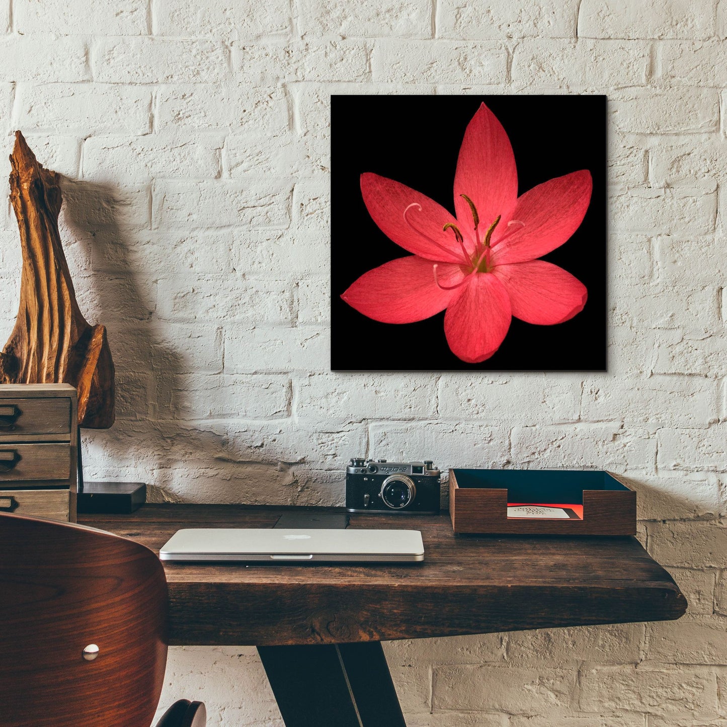 Epic Art 'Red Flower on Black 06' by Tom Quartermaine, Acrylic Glass Wall Art,12x12