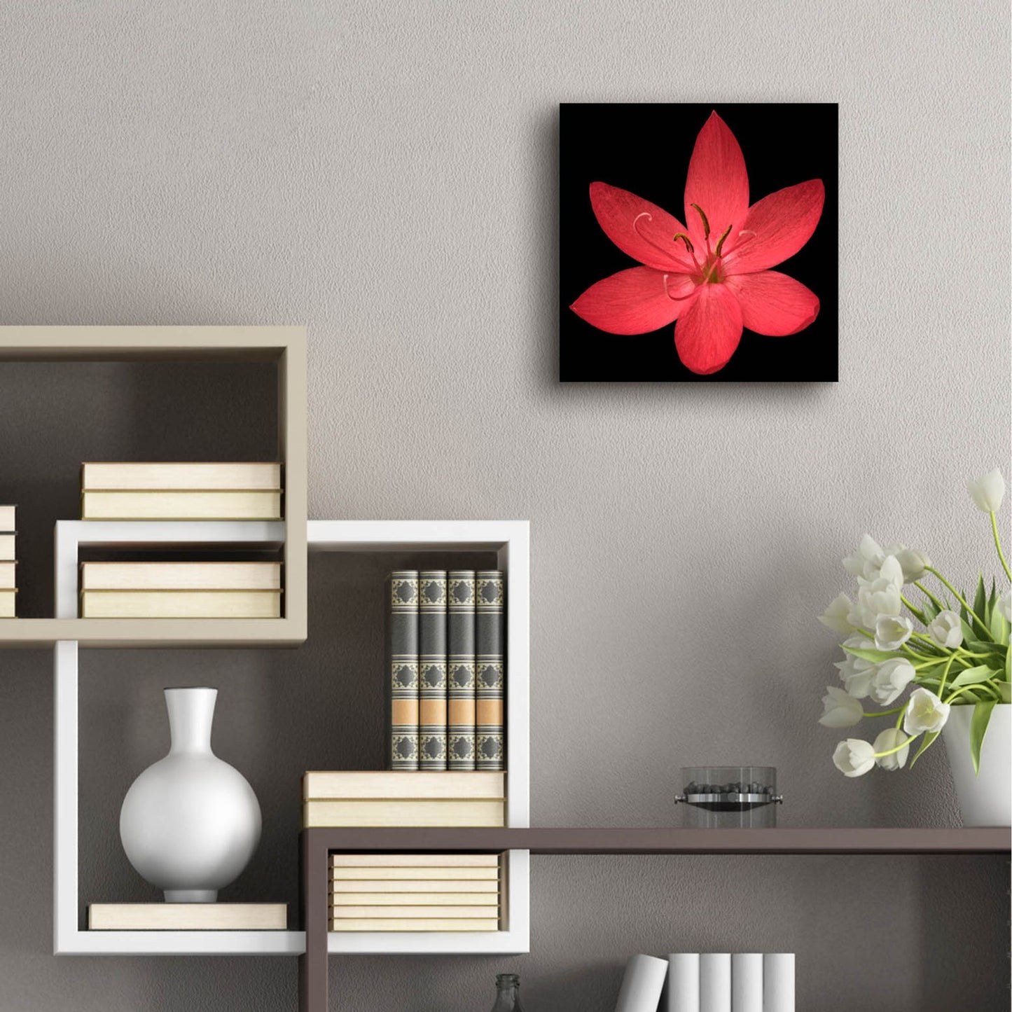 Epic Art 'Red Flower on Black 06' by Tom Quartermaine, Acrylic Glass Wall Art,12x12