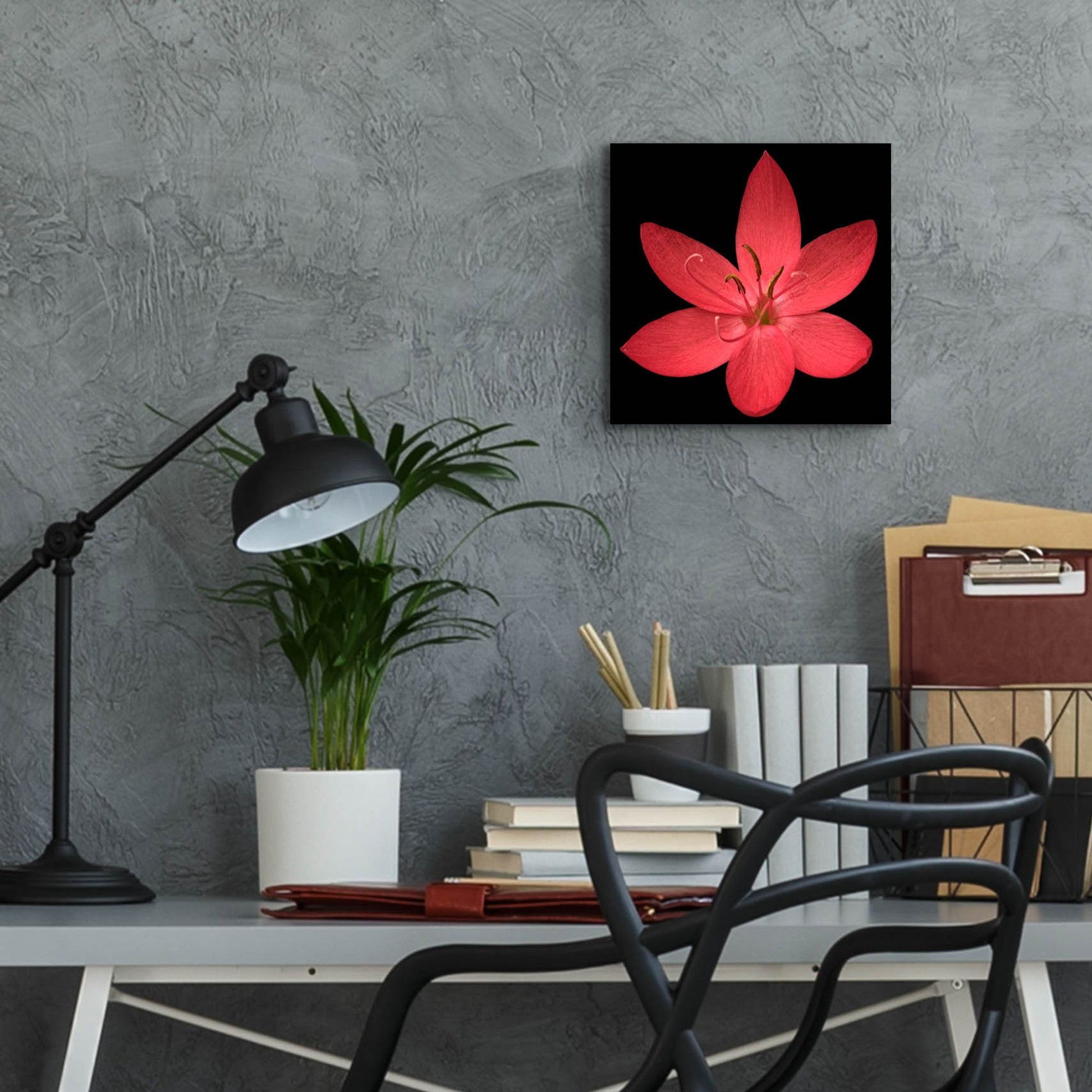 Epic Art 'Red Flower on Black 06' by Tom Quartermaine, Acrylic Glass Wall Art,12x12