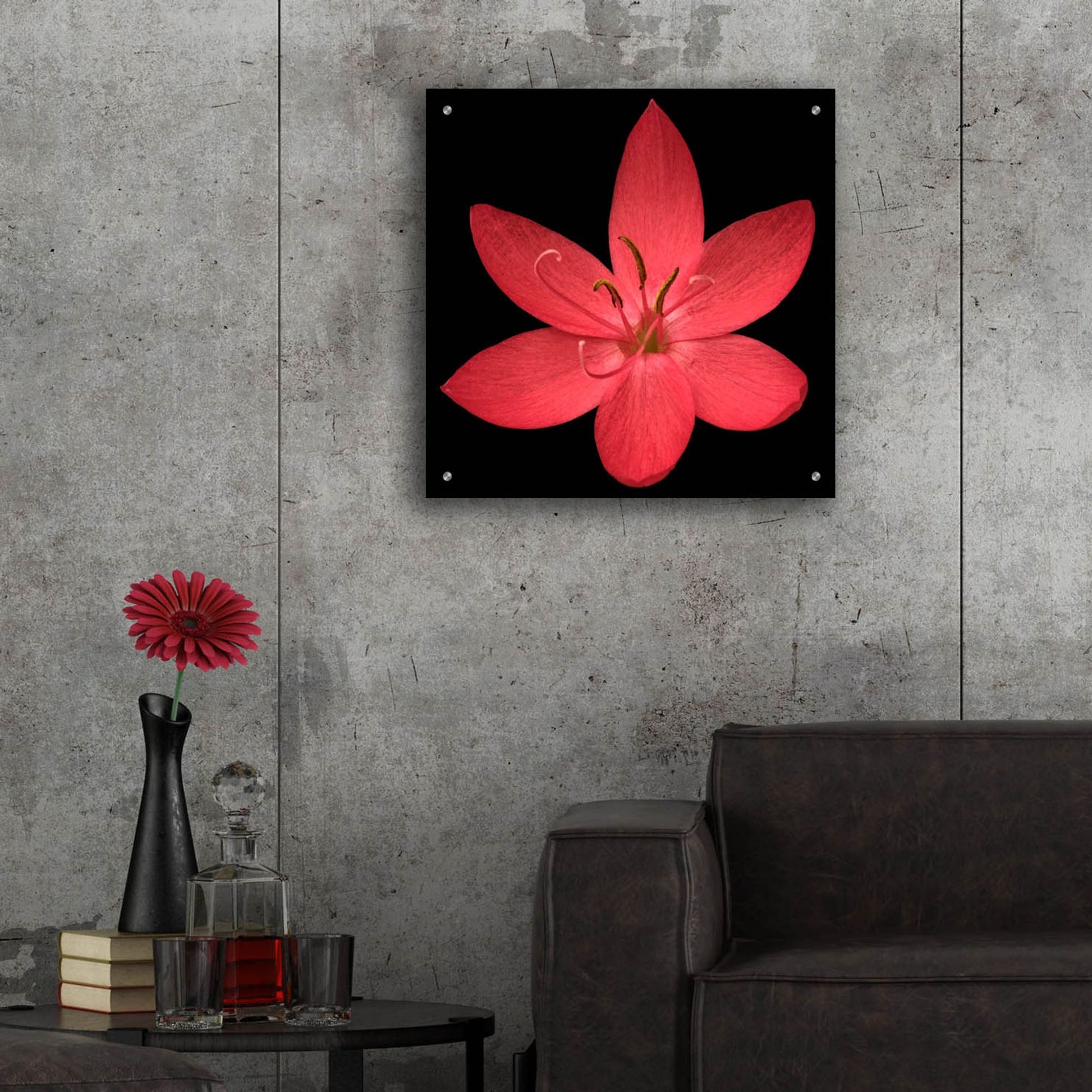 Epic Art 'Red Flower on Black 06' by Tom Quartermaine, Acrylic Glass Wall Art,24x24