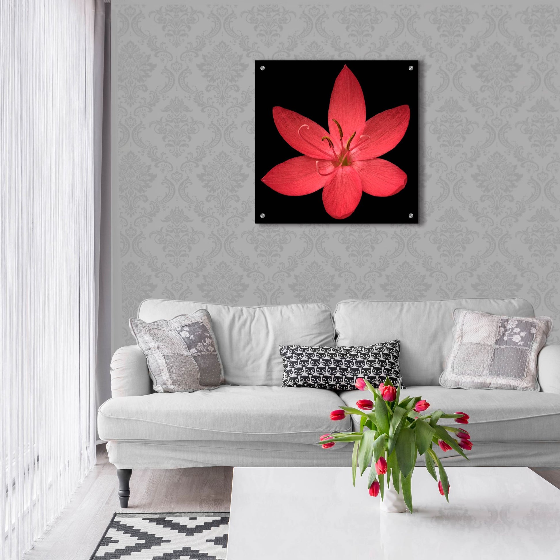 Epic Art 'Red Flower on Black 06' by Tom Quartermaine, Acrylic Glass Wall Art,24x24