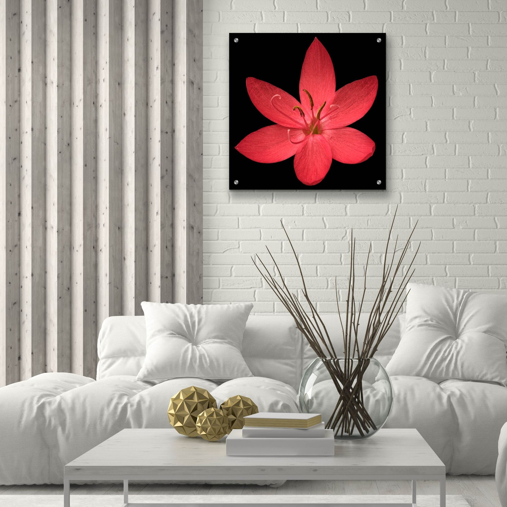 Epic Art 'Red Flower on Black 06' by Tom Quartermaine, Acrylic Glass Wall Art,24x24