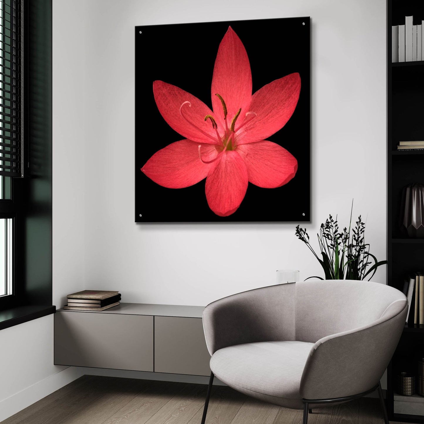 Epic Art 'Red Flower on Black 06' by Tom Quartermaine, Acrylic Glass Wall Art,36x36