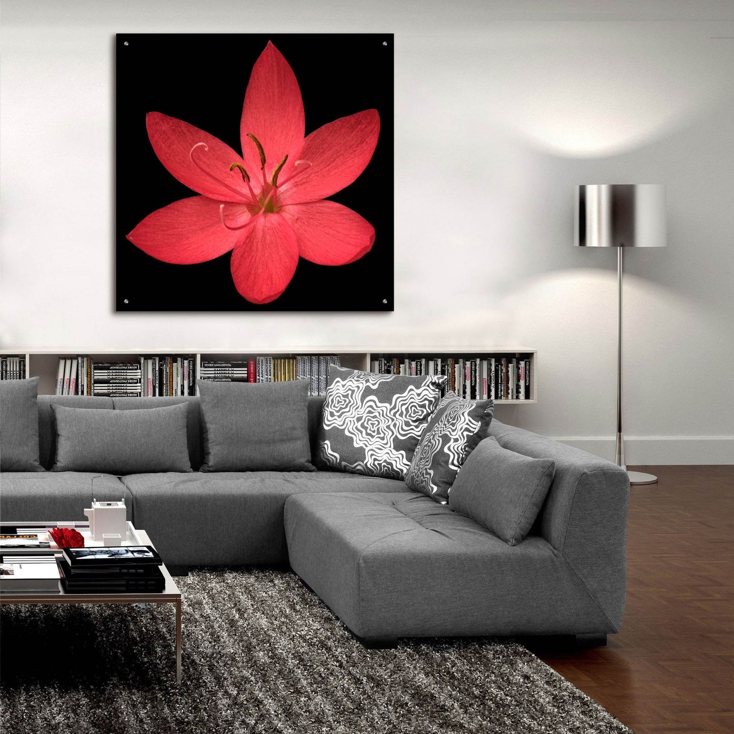 Epic Art 'Red Flower on Black 06' by Tom Quartermaine, Acrylic Glass Wall Art,36x36