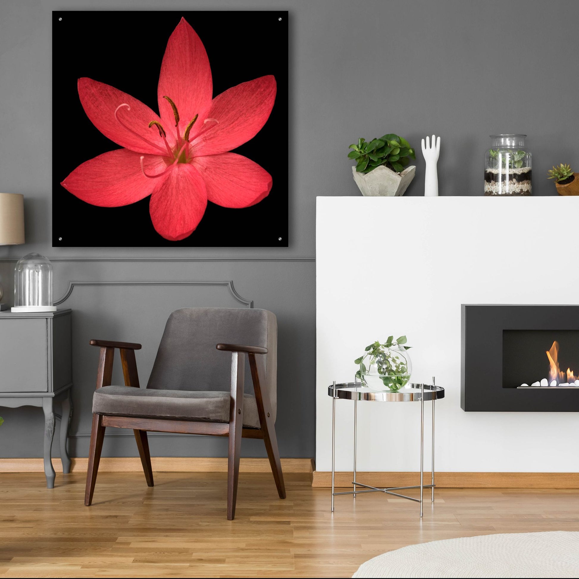 Epic Art 'Red Flower on Black 06' by Tom Quartermaine, Acrylic Glass Wall Art,36x36