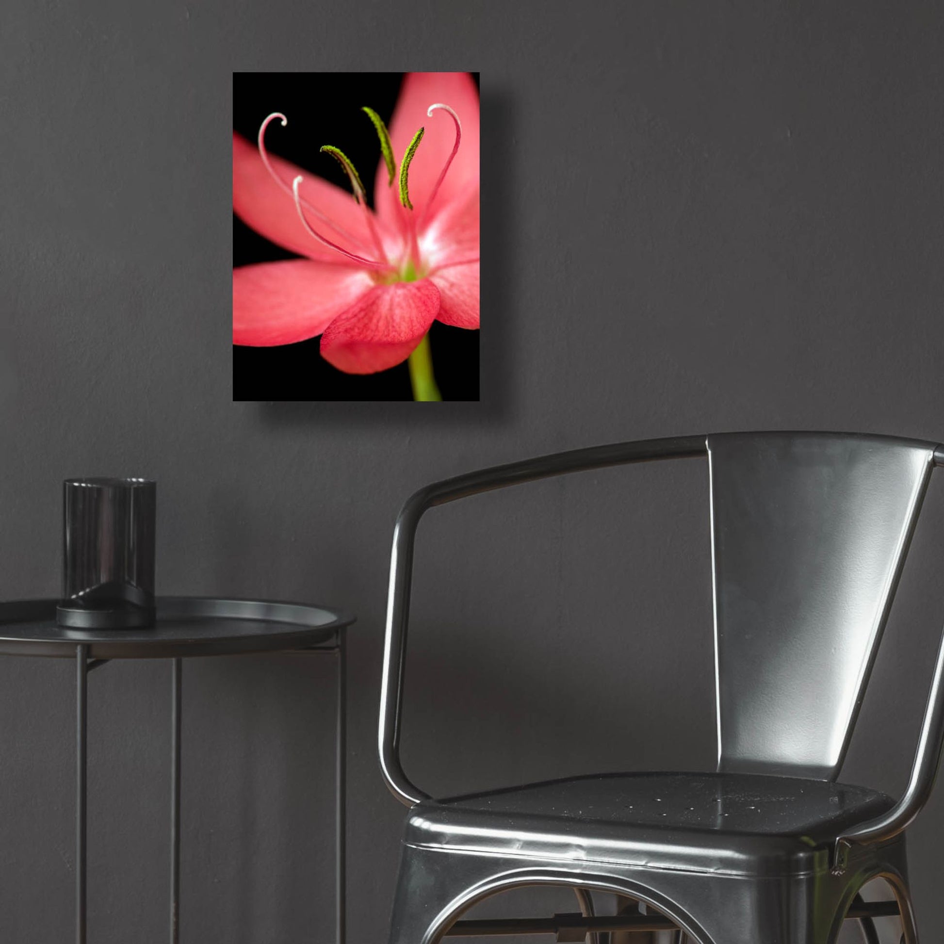 Epic Art 'Red Flower on Black 07' by Tom Quartermaine, Acrylic Glass Wall Art,12x16