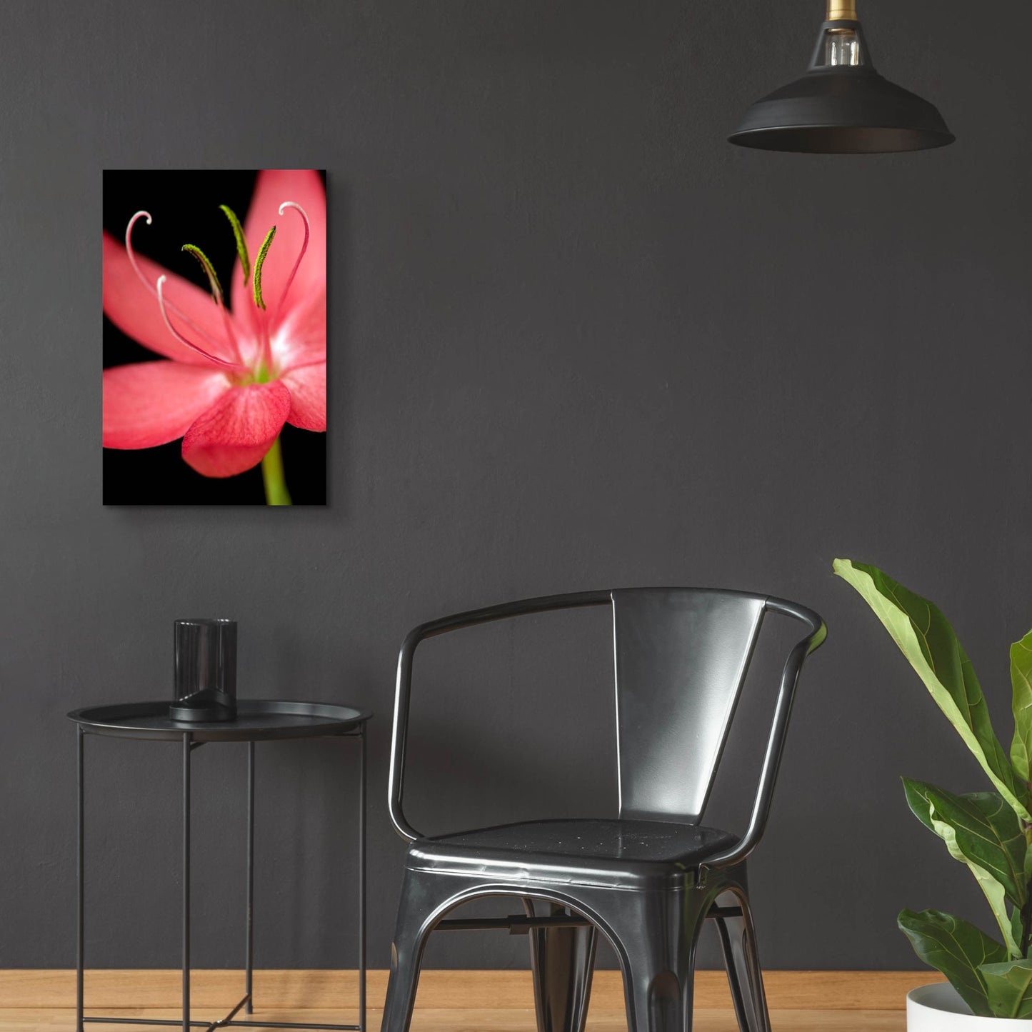 Epic Art 'Red Flower on Black 07' by Tom Quartermaine, Acrylic Glass Wall Art,16x24