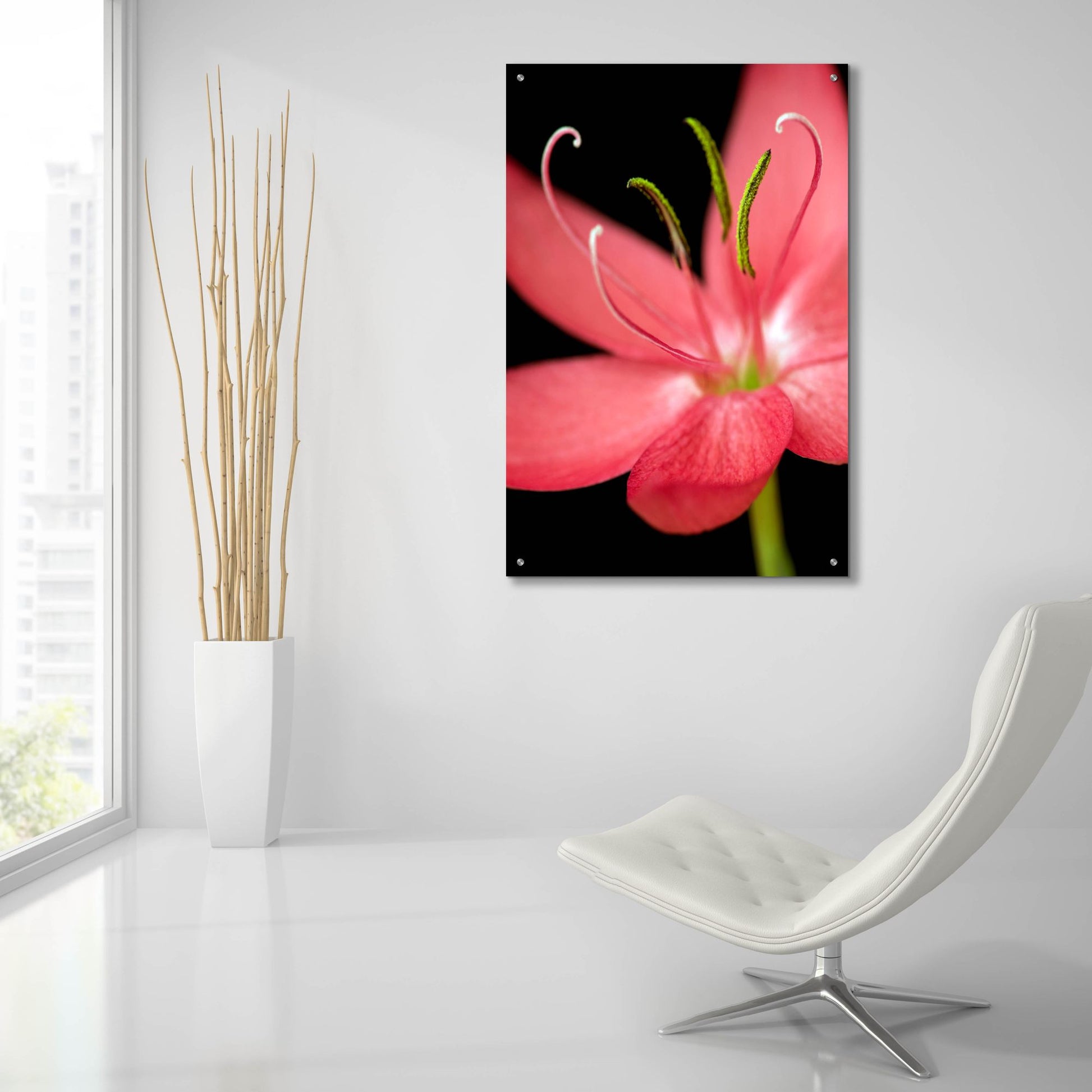 Epic Art 'Red Flower on Black 07' by Tom Quartermaine, Acrylic Glass Wall Art,24x36