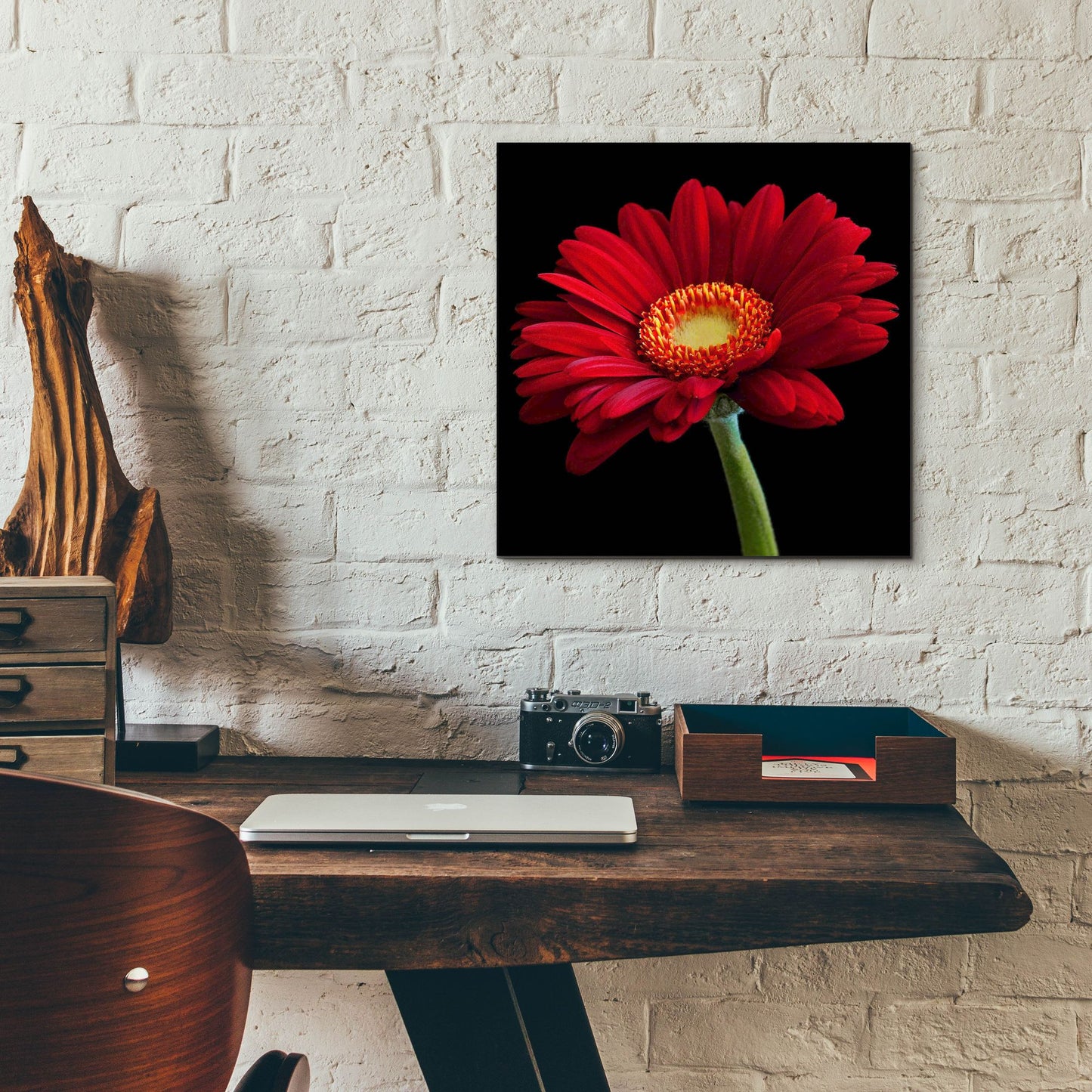 Epic Art 'Red Gerbera on Black 01' by Tom Quartermaine, Acrylic Glass Wall Art,12x12