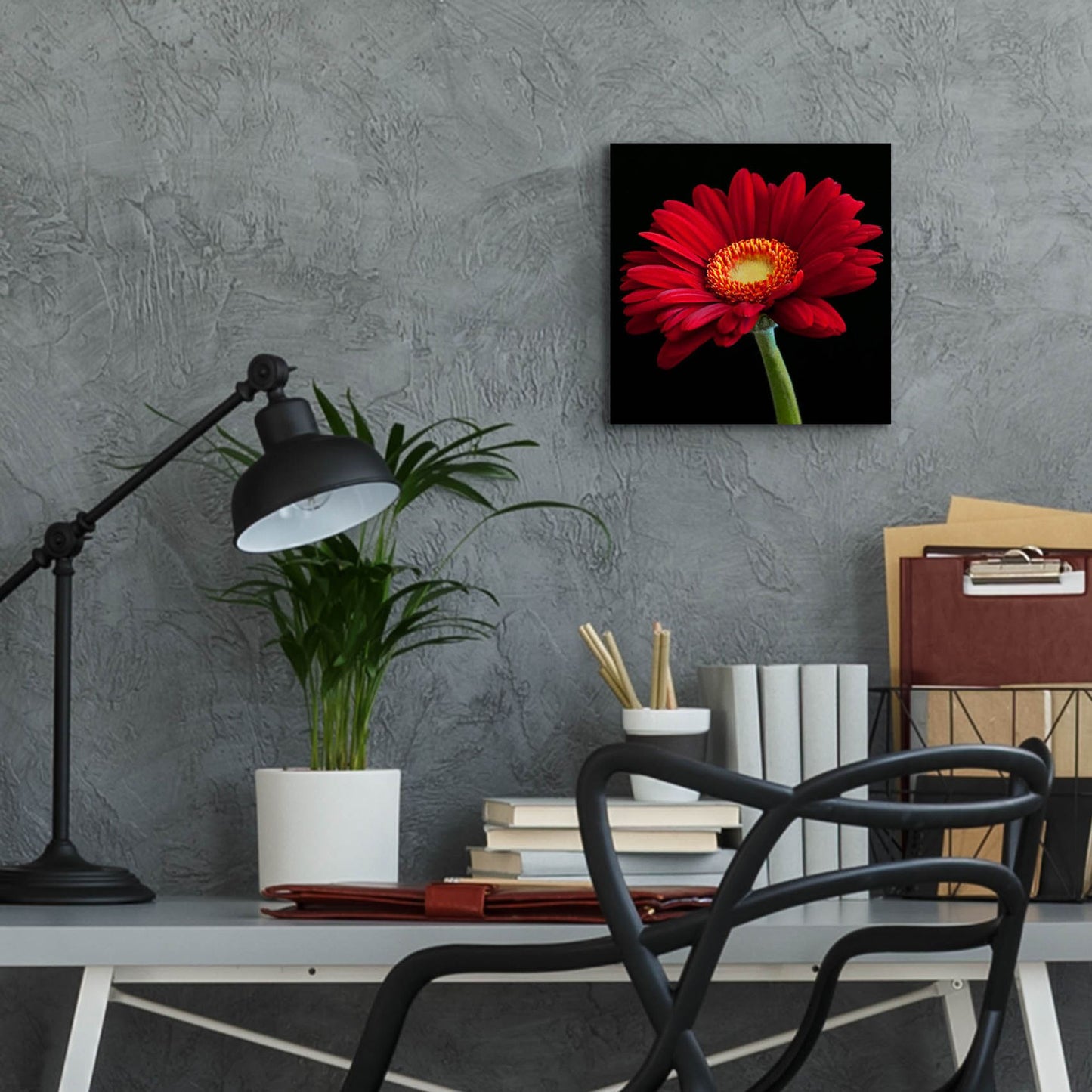 Epic Art 'Red Gerbera on Black 01' by Tom Quartermaine, Acrylic Glass Wall Art,12x12