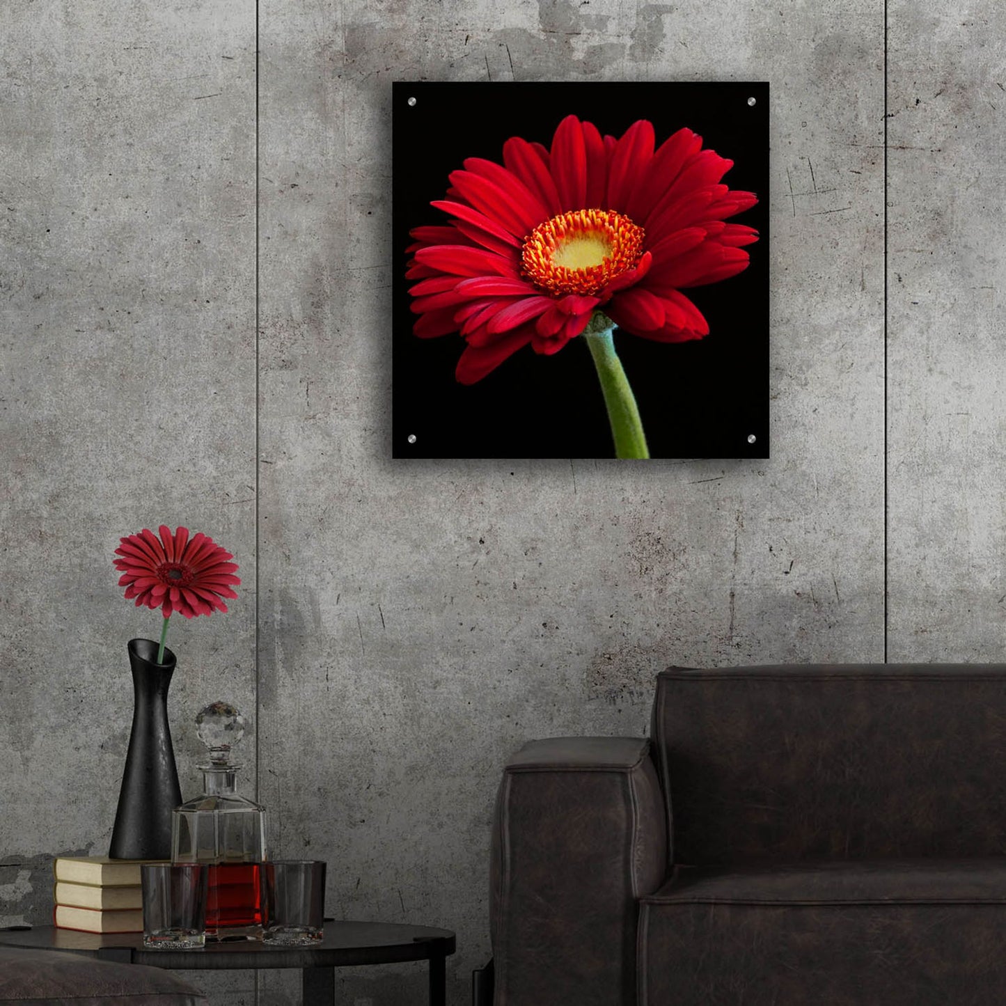 Epic Art 'Red Gerbera on Black 01' by Tom Quartermaine, Acrylic Glass Wall Art,24x24