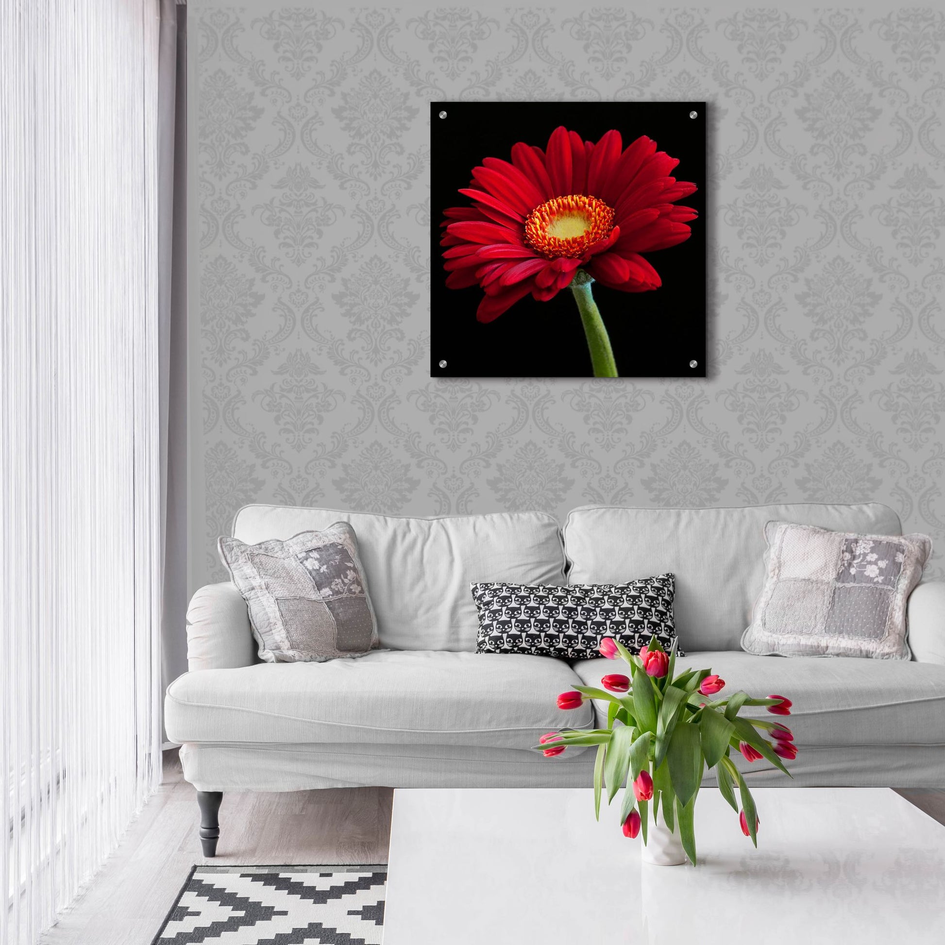 Epic Art 'Red Gerbera on Black 01' by Tom Quartermaine, Acrylic Glass Wall Art,24x24