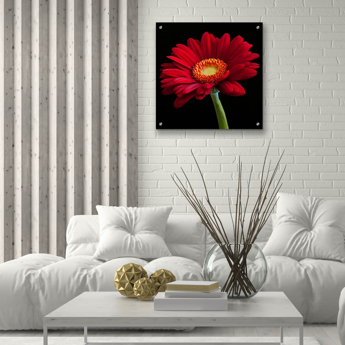 Epic Art 'Red Gerbera on Black 01' by Tom Quartermaine, Acrylic Glass Wall Art,24x24