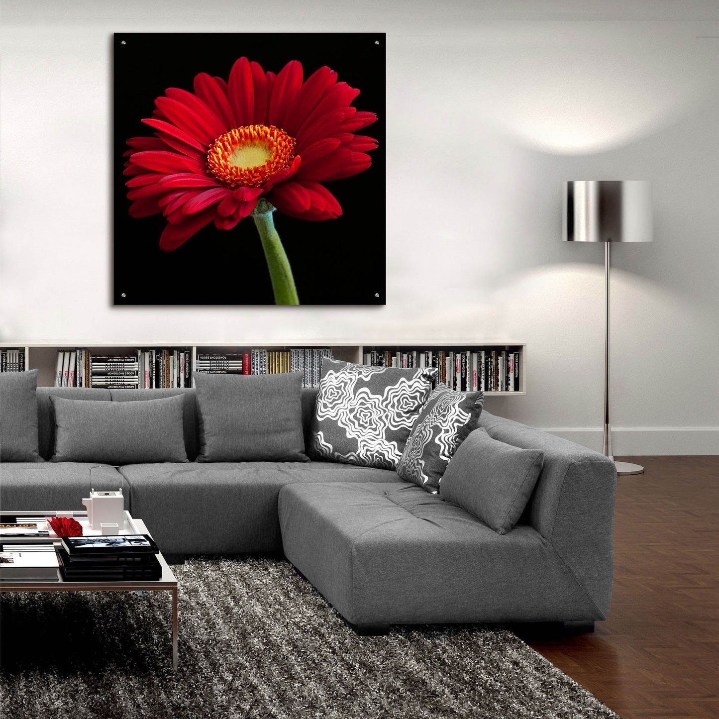 Epic Art 'Red Gerbera on Black 01' by Tom Quartermaine, Acrylic Glass Wall Art,36x36