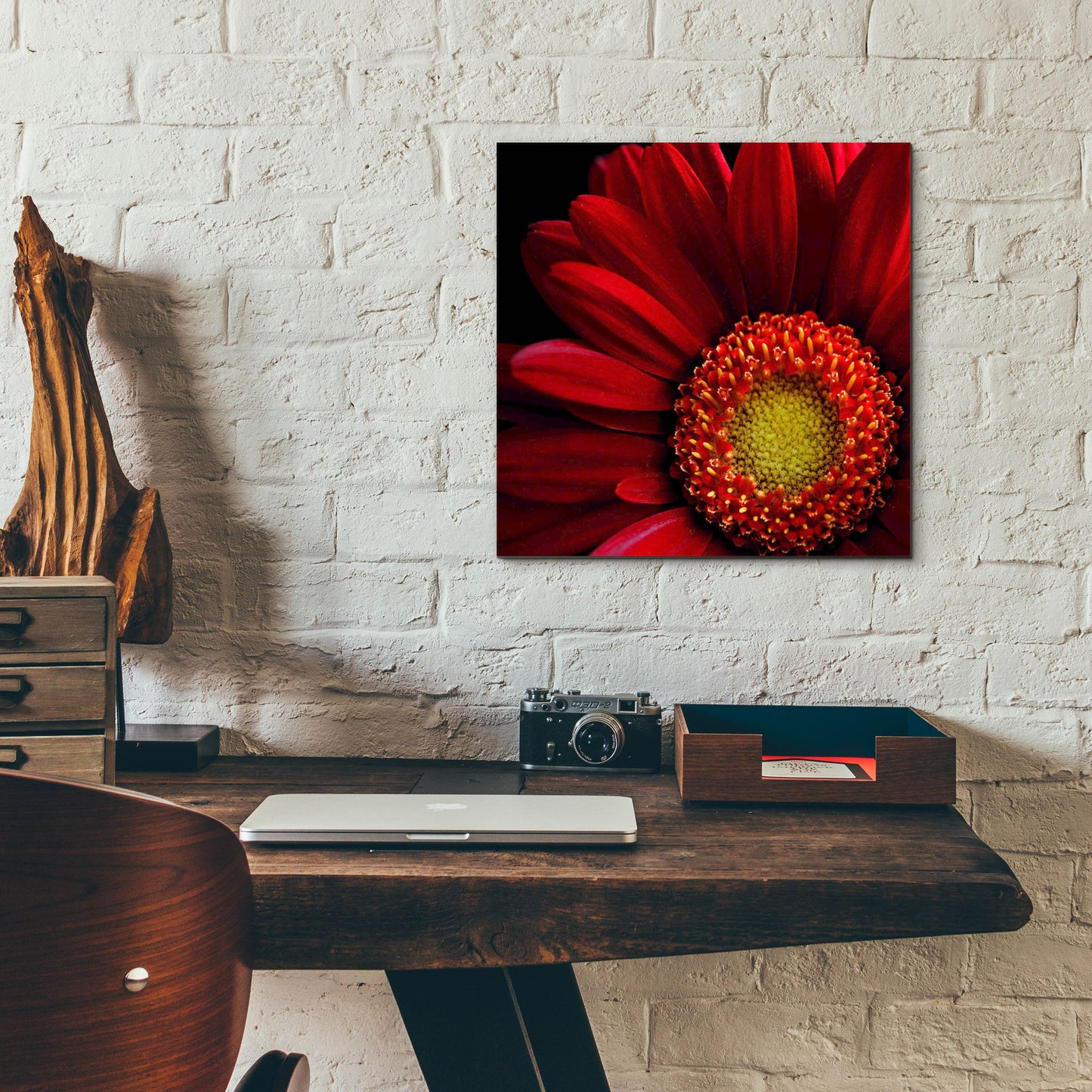 Epic Art 'Red Gerbera on Black 02' by Tom Quartermaine, Acrylic Glass Wall Art,12x12