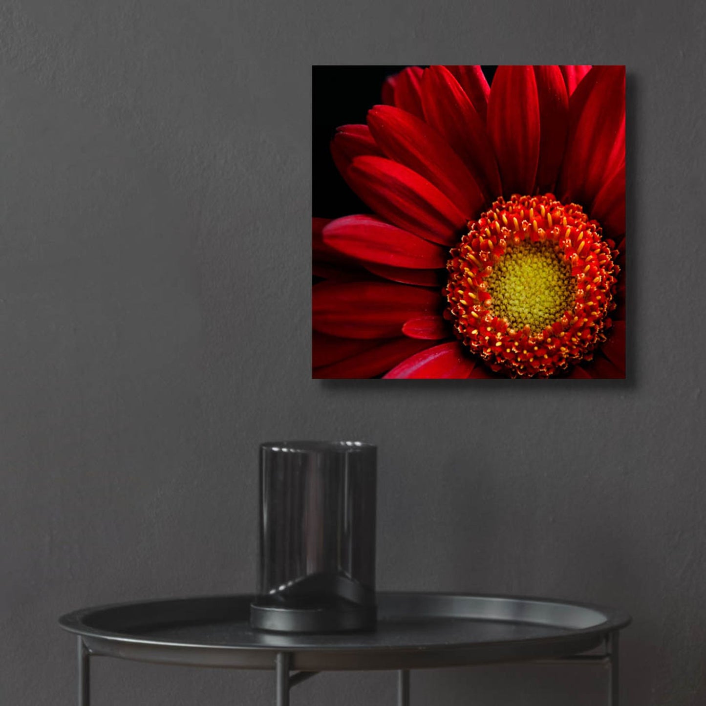 Epic Art 'Red Gerbera on Black 02' by Tom Quartermaine, Acrylic Glass Wall Art,12x12