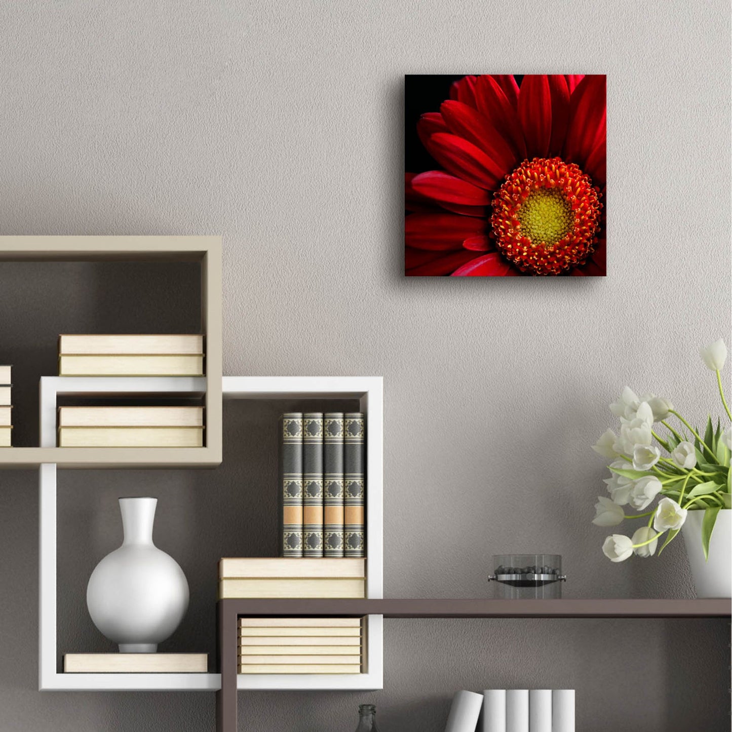 Epic Art 'Red Gerbera on Black 02' by Tom Quartermaine, Acrylic Glass Wall Art,12x12