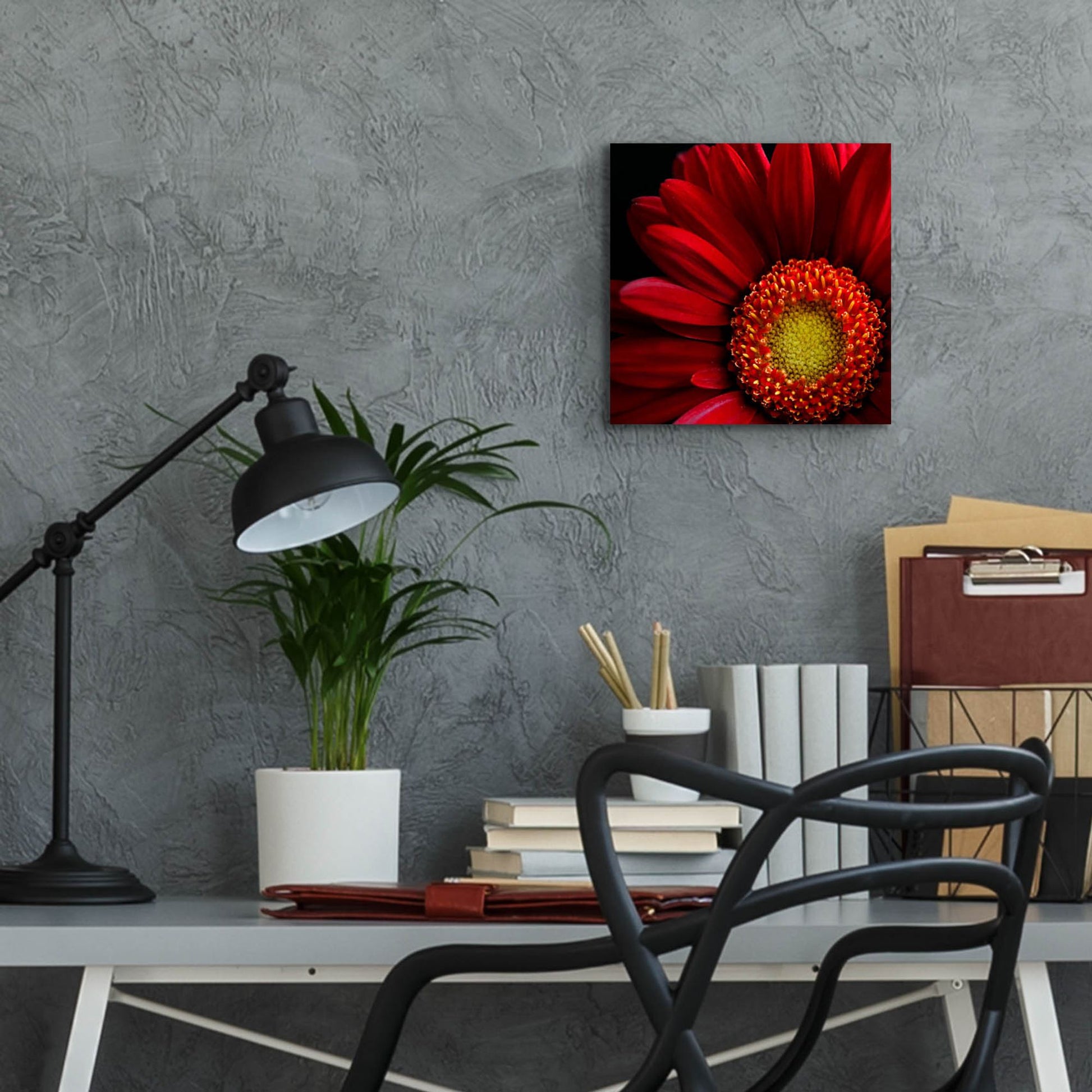 Epic Art 'Red Gerbera on Black 02' by Tom Quartermaine, Acrylic Glass Wall Art,12x12