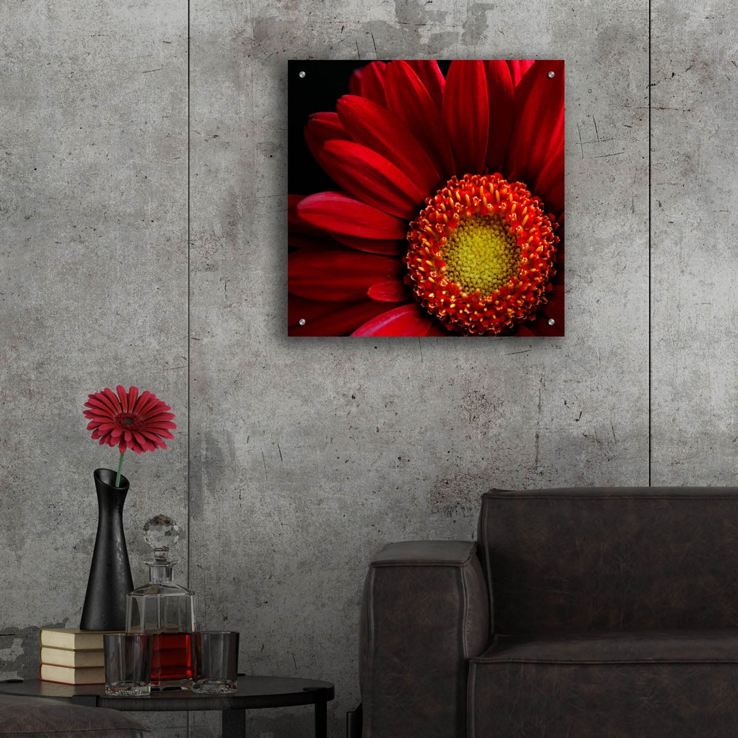 Epic Art 'Red Gerbera on Black 02' by Tom Quartermaine, Acrylic Glass Wall Art,24x24