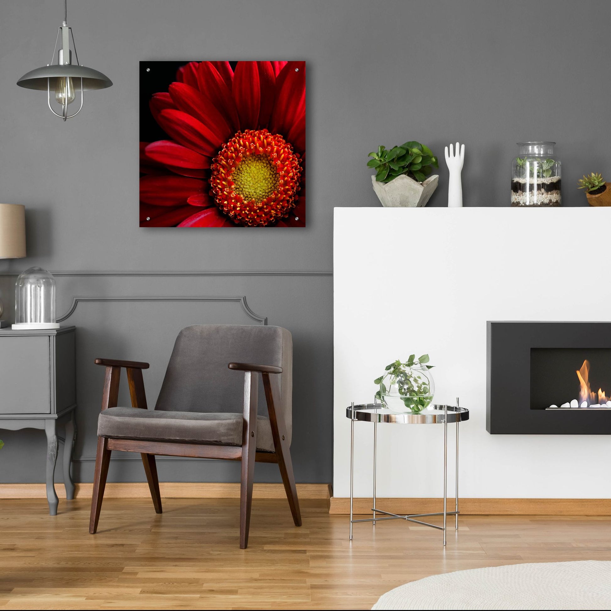 Epic Art 'Red Gerbera on Black 02' by Tom Quartermaine, Acrylic Glass Wall Art,24x24