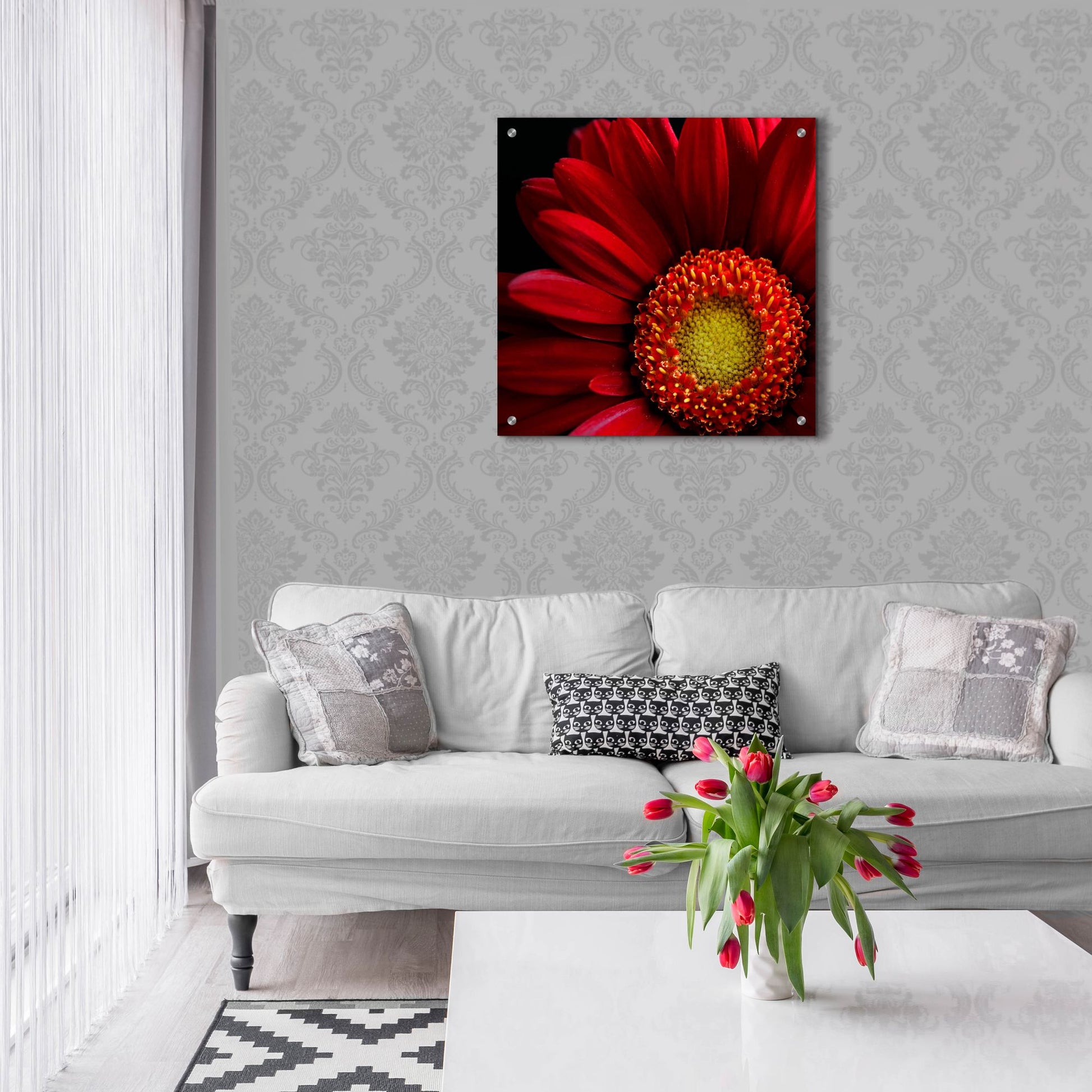 Epic Art 'Red Gerbera on Black 02' by Tom Quartermaine, Acrylic Glass Wall Art,24x24