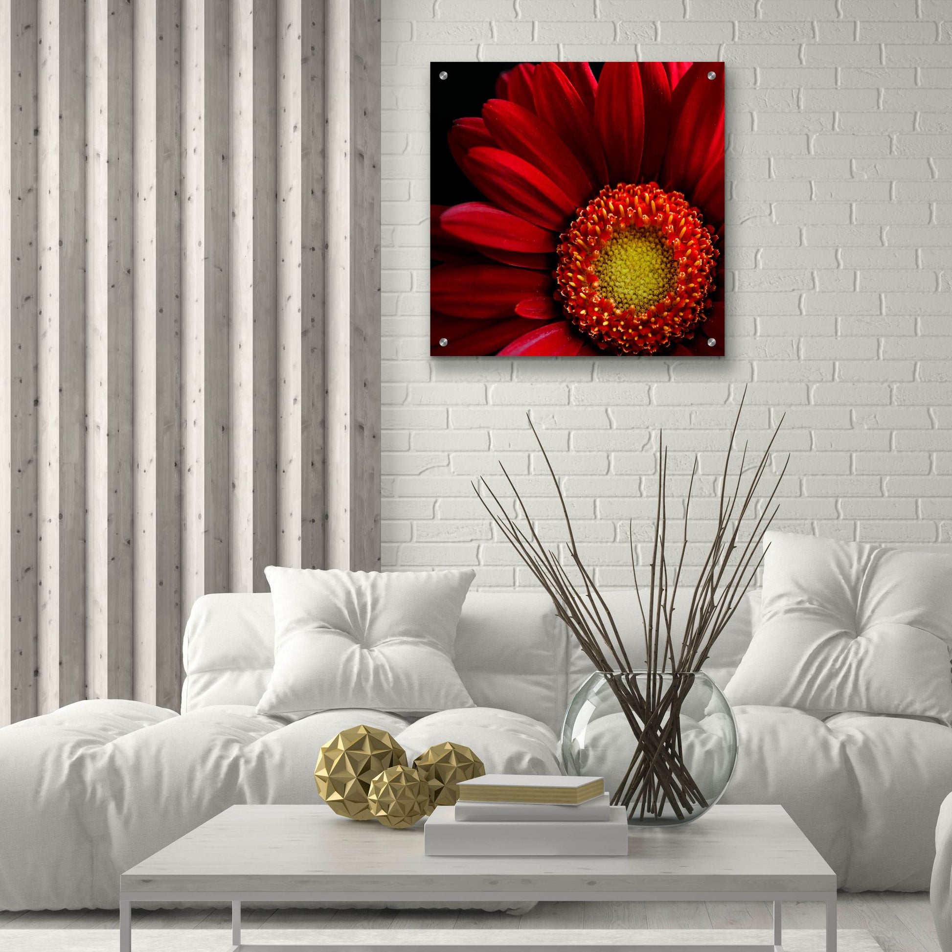 Epic Art 'Red Gerbera on Black 02' by Tom Quartermaine, Acrylic Glass Wall Art,24x24