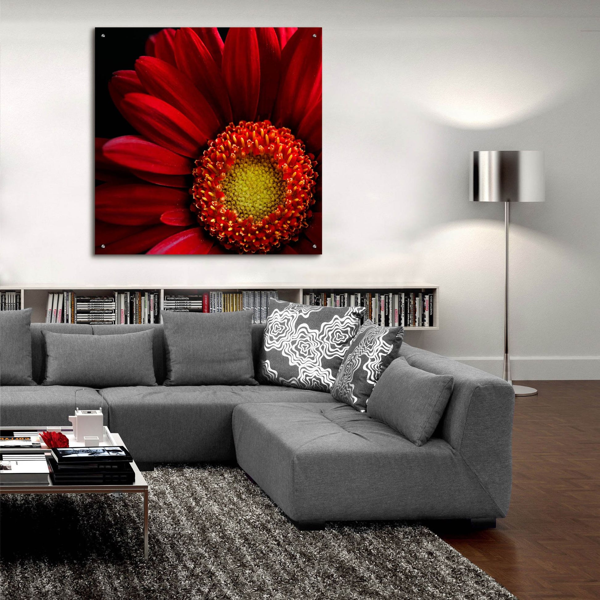 Epic Art 'Red Gerbera on Black 02' by Tom Quartermaine, Acrylic Glass Wall Art,36x36