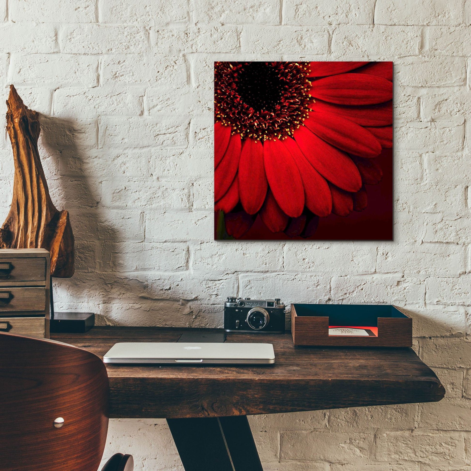 Epic Art 'Red Gerbera on Red 01' by Tom Quartermaine, Acrylic Glass Wall Art,12x12