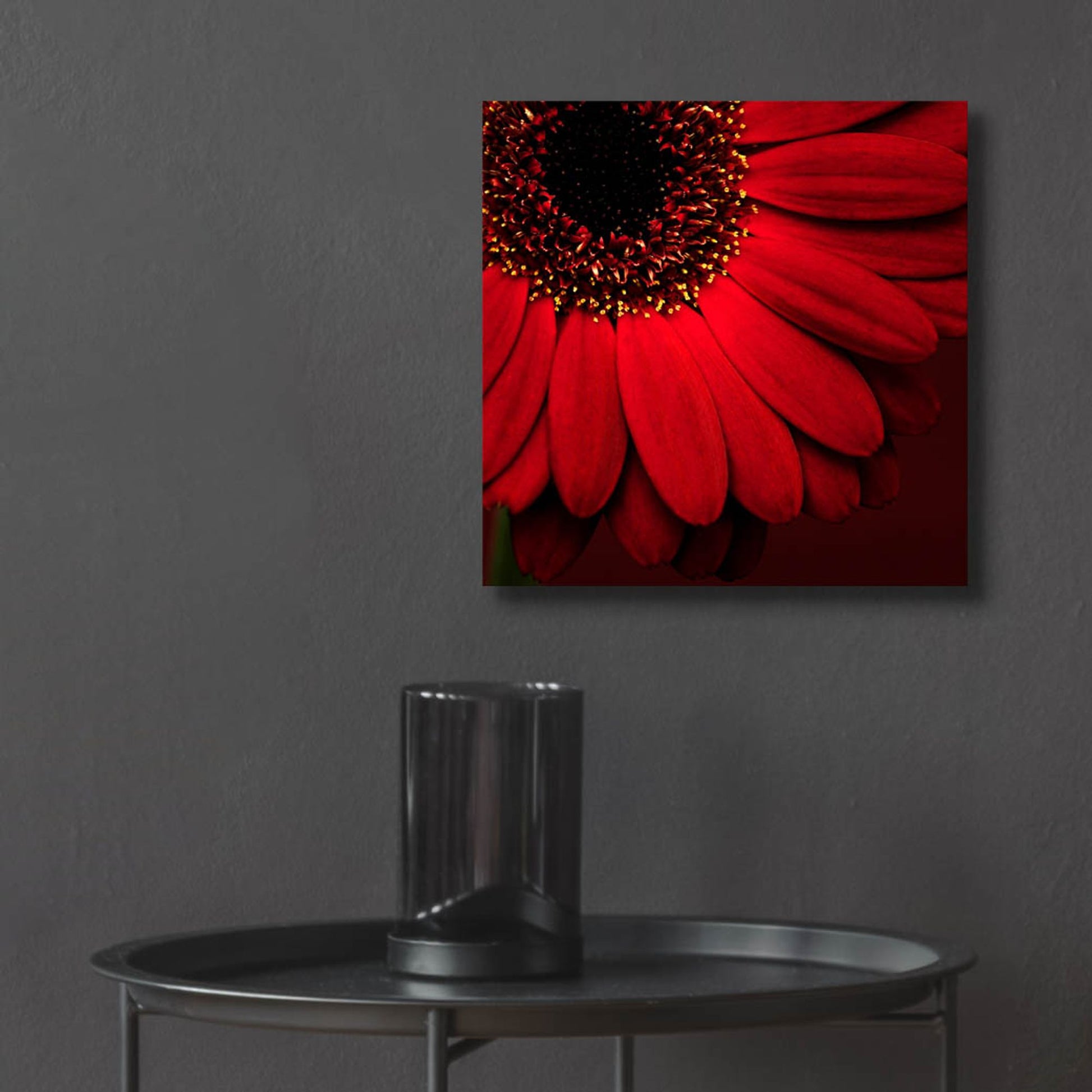 Epic Art 'Red Gerbera on Red 01' by Tom Quartermaine, Acrylic Glass Wall Art,12x12