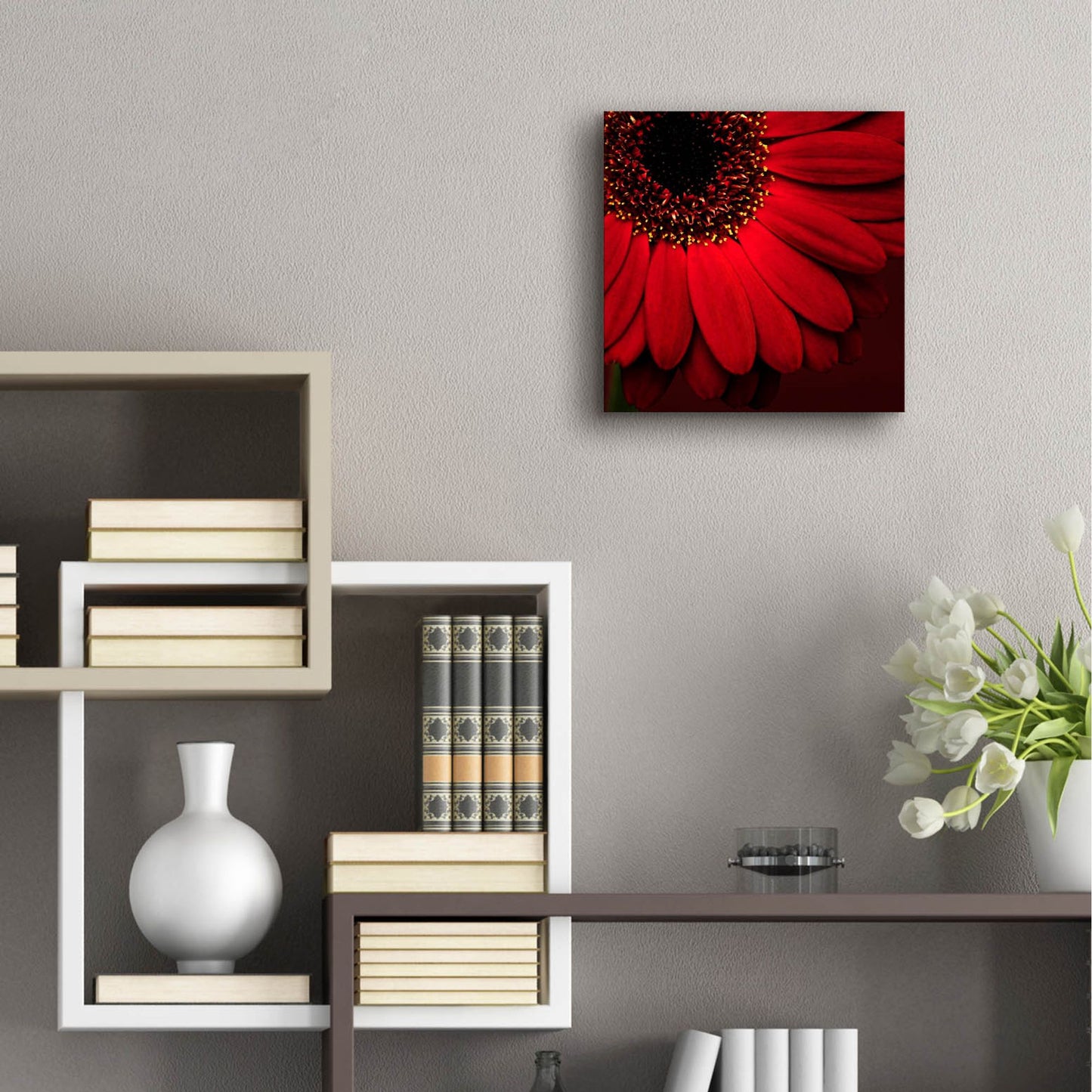 Epic Art 'Red Gerbera on Red 01' by Tom Quartermaine, Acrylic Glass Wall Art,12x12