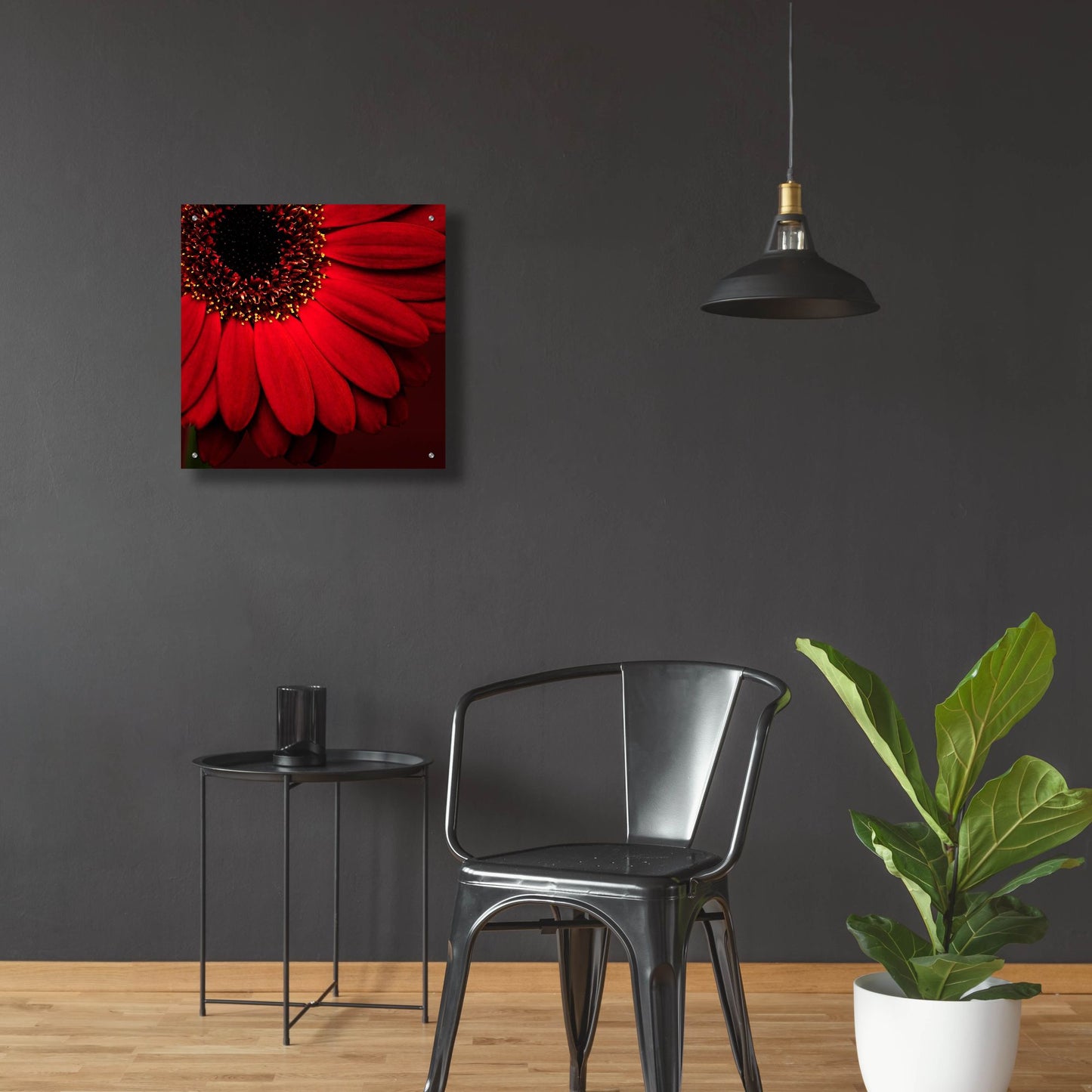 Epic Art 'Red Gerbera on Red 01' by Tom Quartermaine, Acrylic Glass Wall Art,24x24