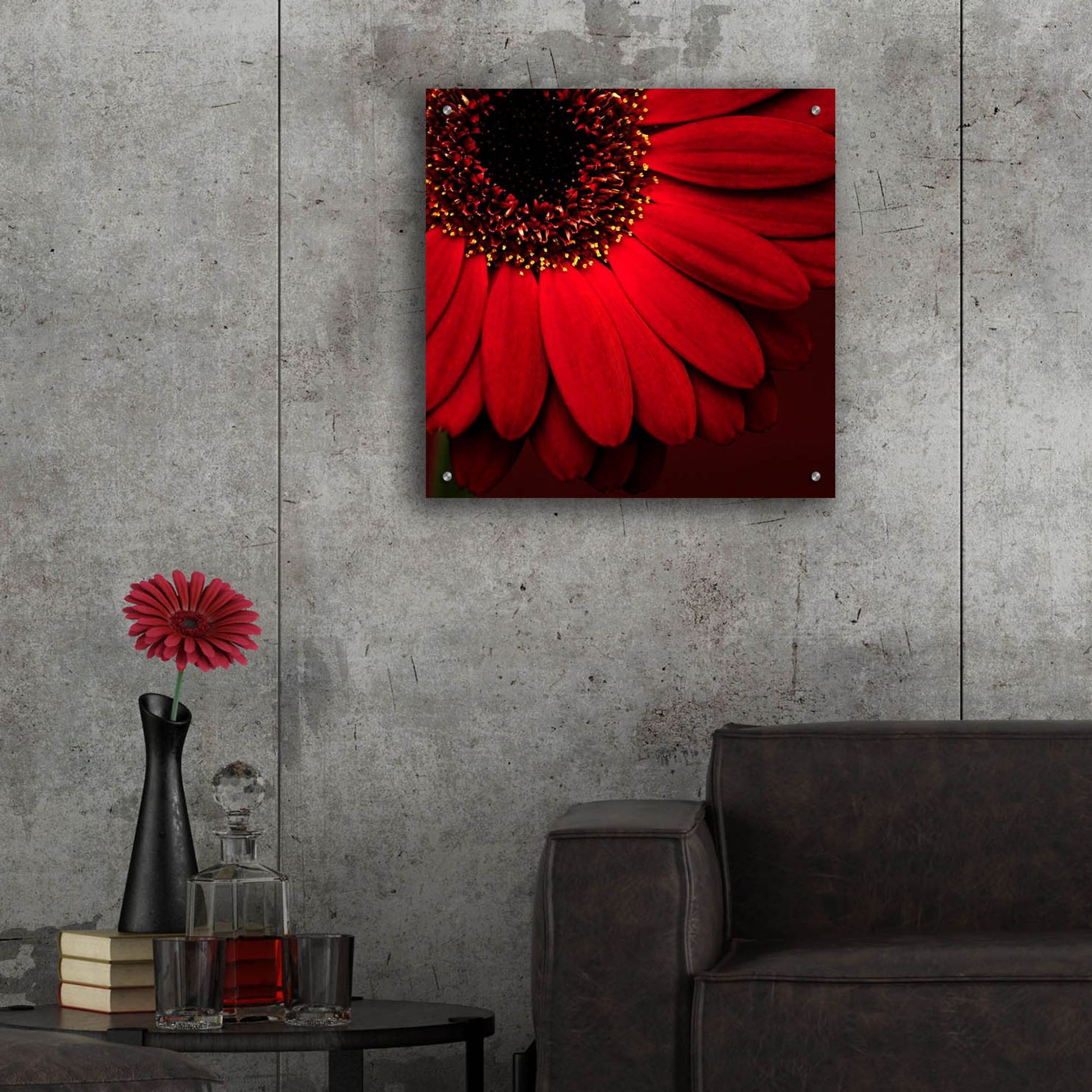 Epic Art 'Red Gerbera on Red 01' by Tom Quartermaine, Acrylic Glass Wall Art,24x24