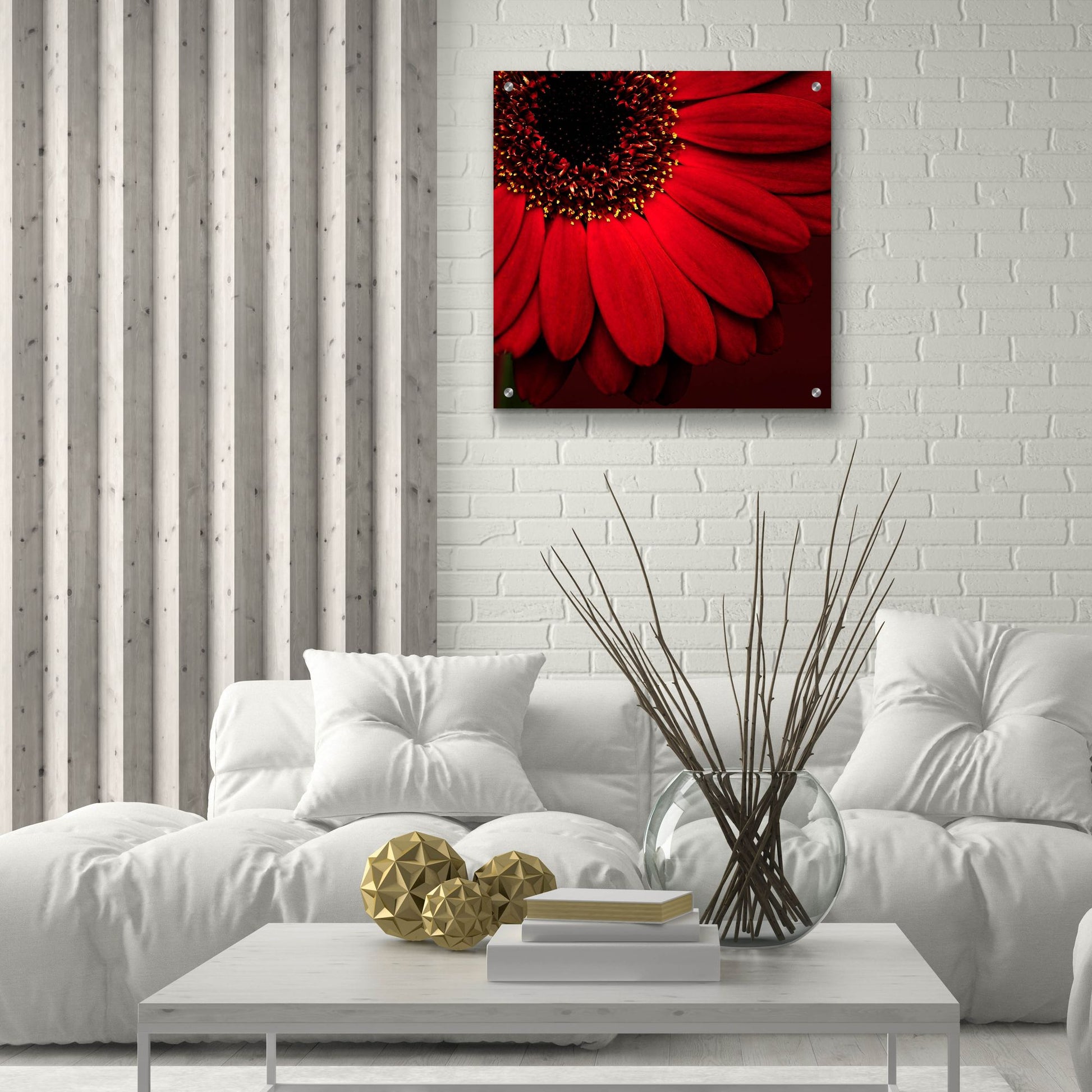 Epic Art 'Red Gerbera on Red 01' by Tom Quartermaine, Acrylic Glass Wall Art,24x24