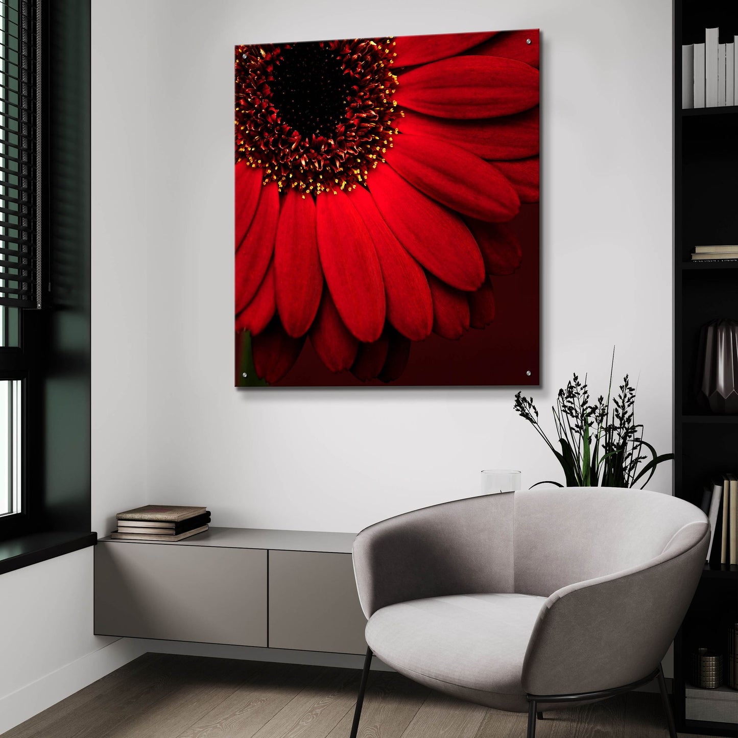 Epic Art 'Red Gerbera on Red 01' by Tom Quartermaine, Acrylic Glass Wall Art,36x36