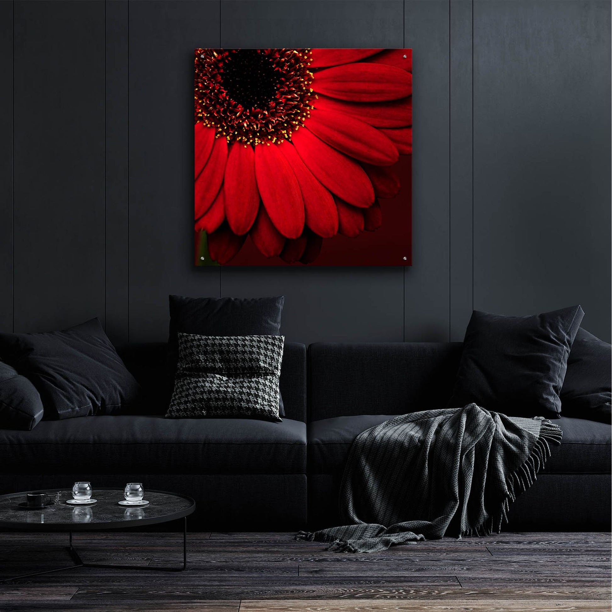 Epic Art 'Red Gerbera on Red 01' by Tom Quartermaine, Acrylic Glass Wall Art,36x36