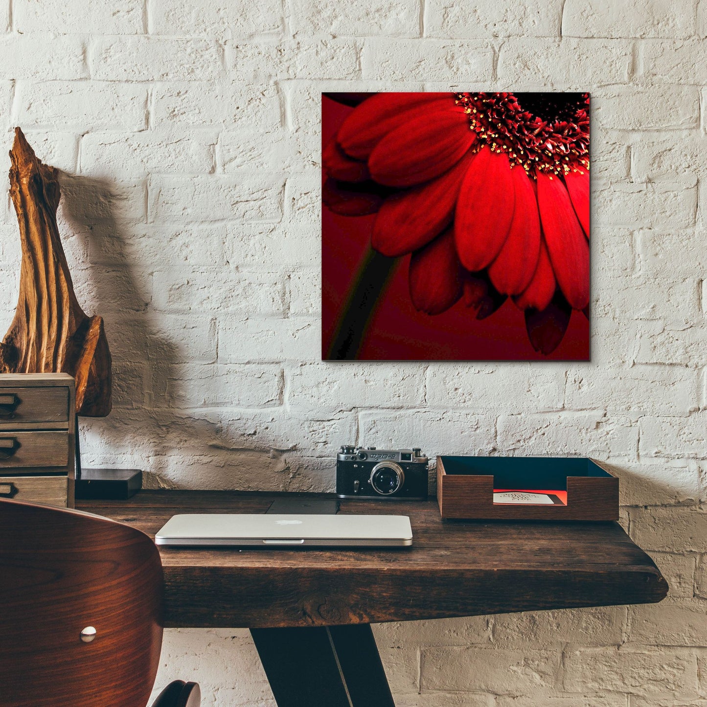 Epic Art 'Red Gerbera on Red 02' by Tom Quartermaine, Acrylic Glass Wall Art,12x12