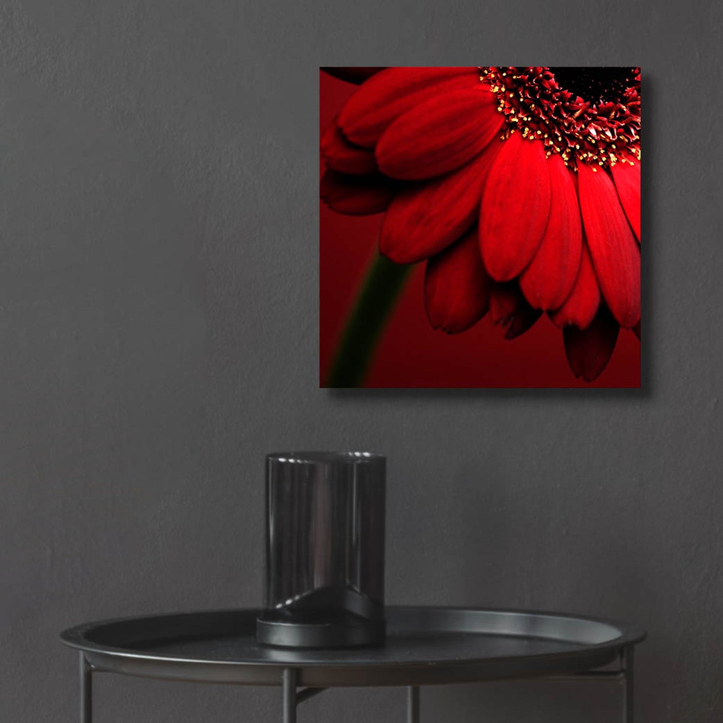 Epic Art 'Red Gerbera on Red 02' by Tom Quartermaine, Acrylic Glass Wall Art,12x12