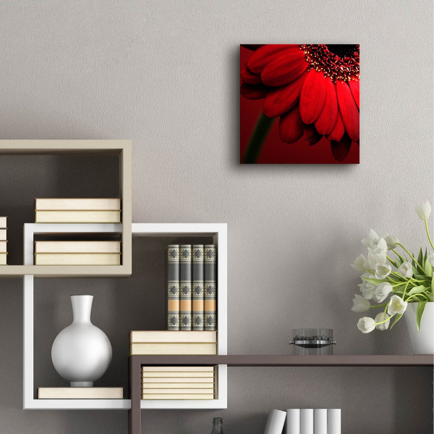 Epic Art 'Red Gerbera on Red 02' by Tom Quartermaine, Acrylic Glass Wall Art,12x12