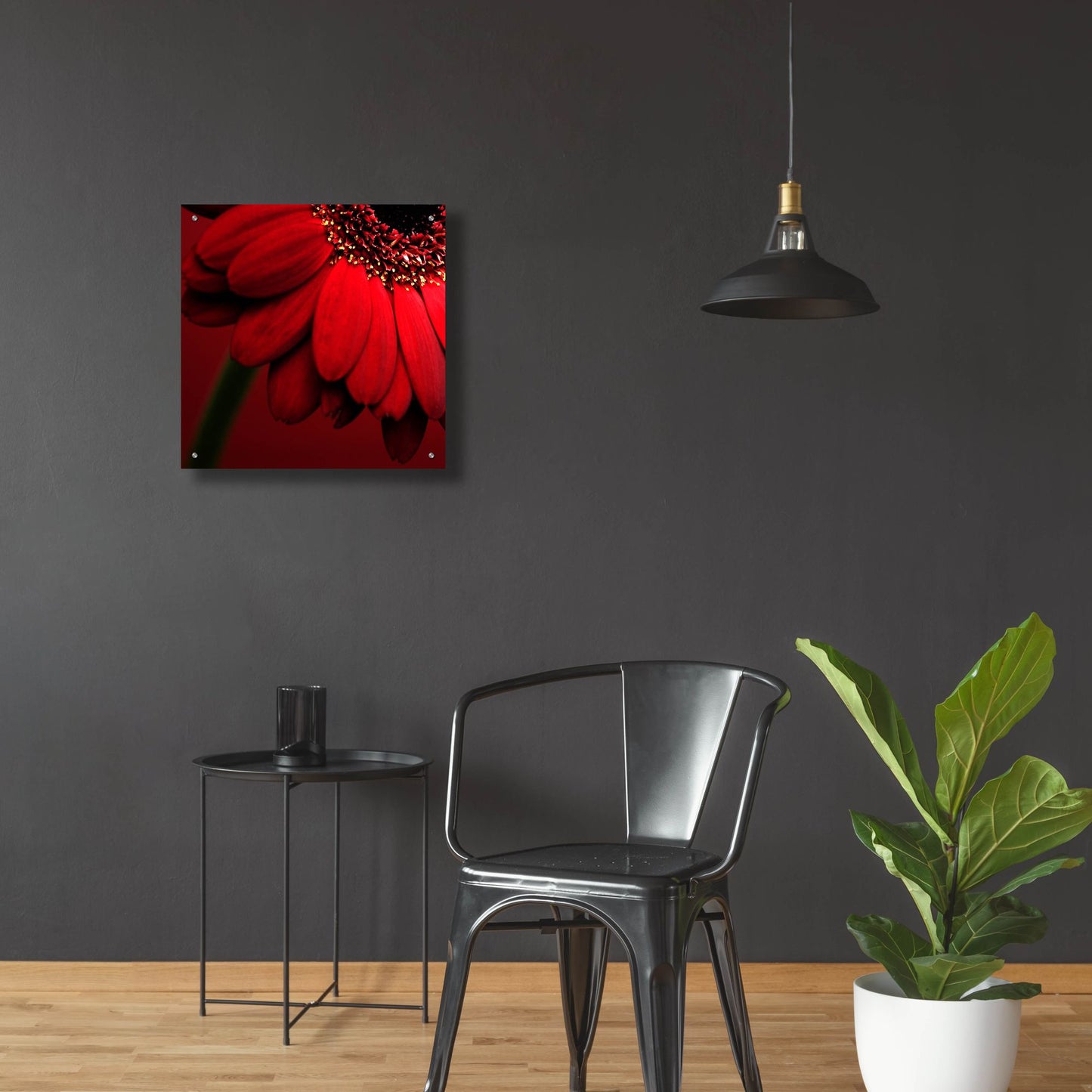 Epic Art 'Red Gerbera on Red 02' by Tom Quartermaine, Acrylic Glass Wall Art,24x24